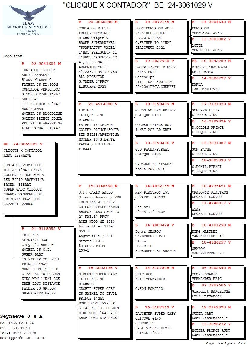 pedigree Clicque x Contador