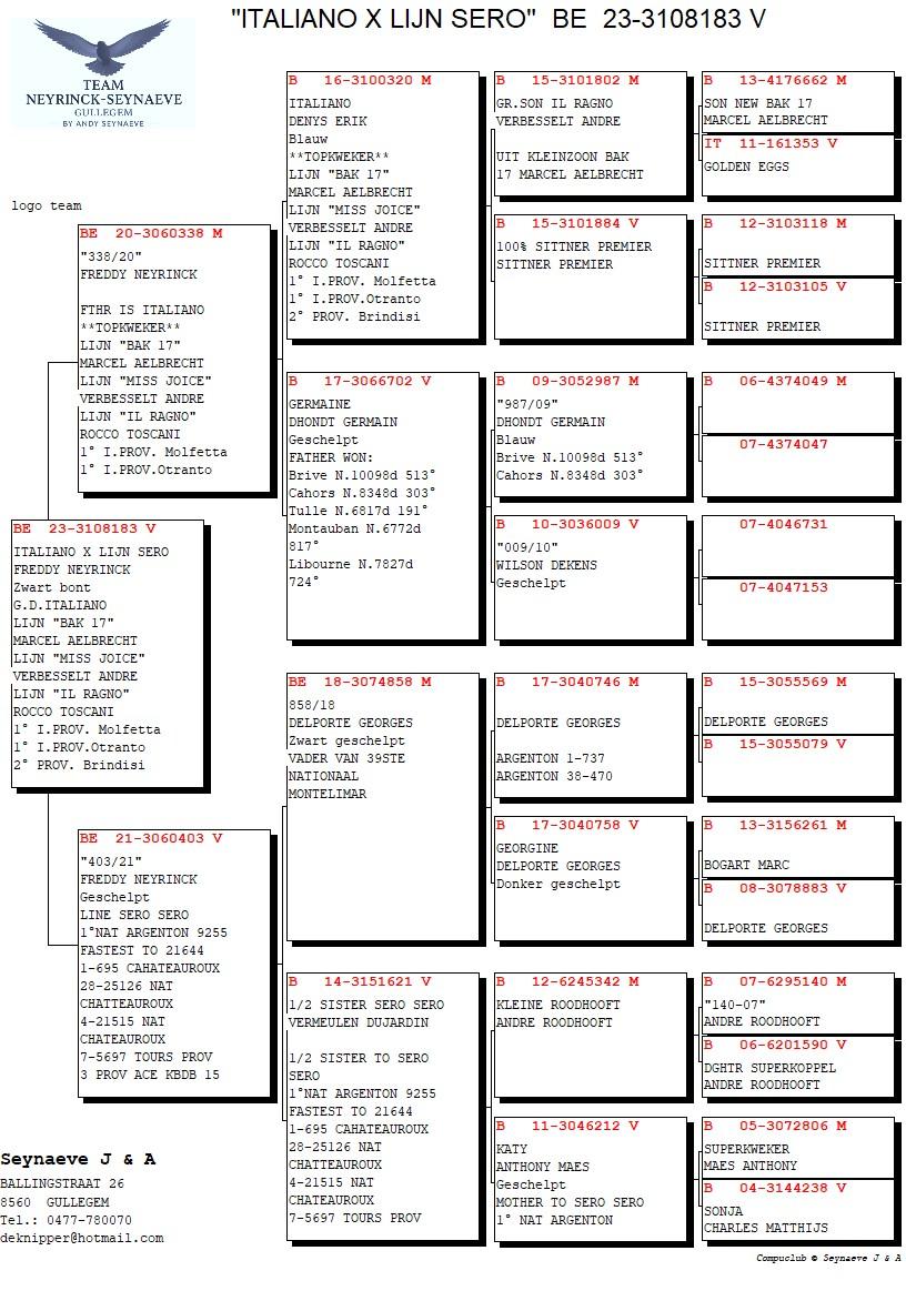 pedigree Kleinkind Italiano x Lijn Sero Sero