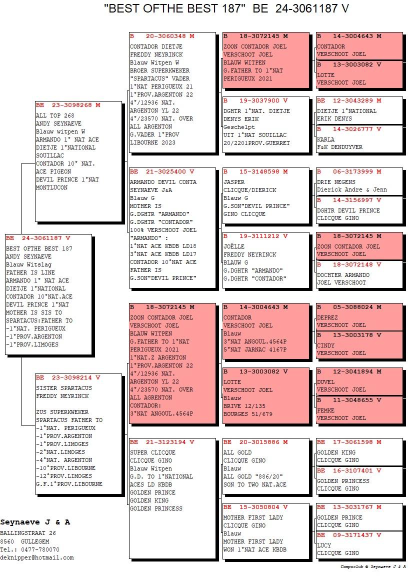pedigree Best of the Best 187