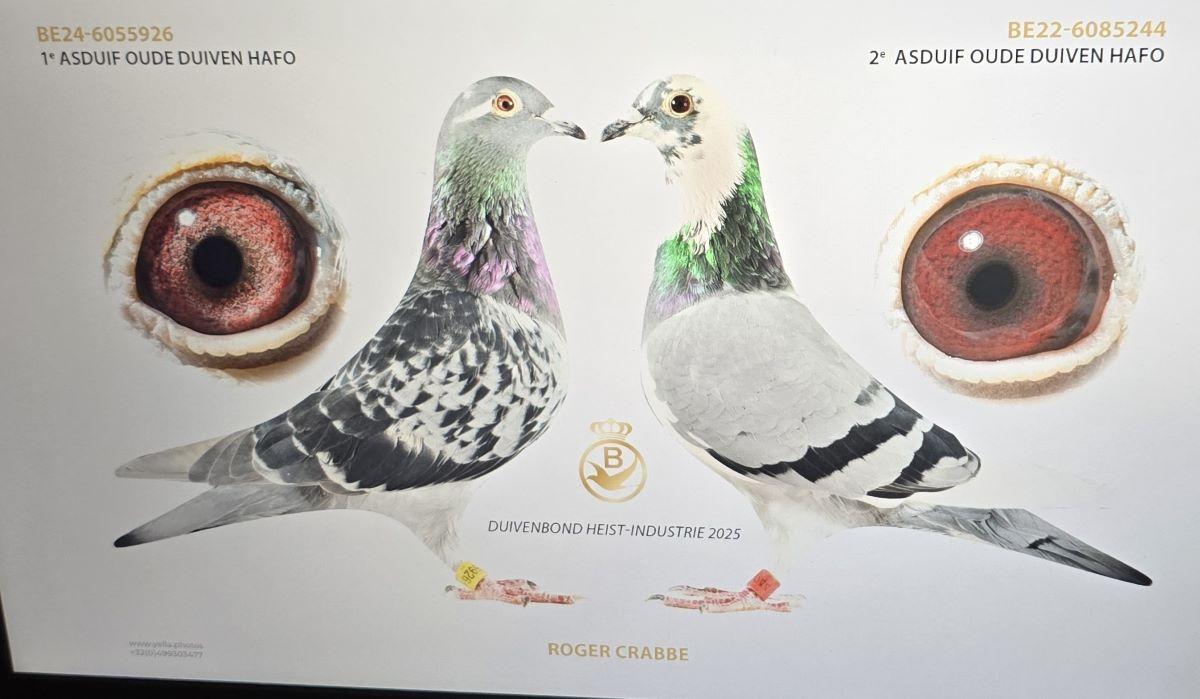 PITTS-CrabbeRoger-PITTS-BE24-6055926 ' BE22-6085244 -Foto-PITTS