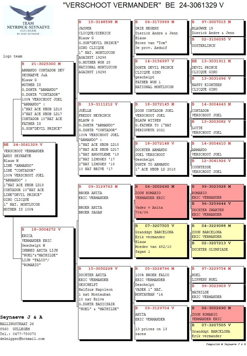 pedigree Verschoot Vermander