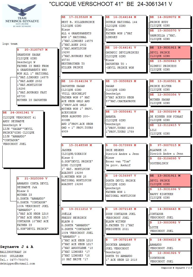 pedigree Clicque Verschoot 41