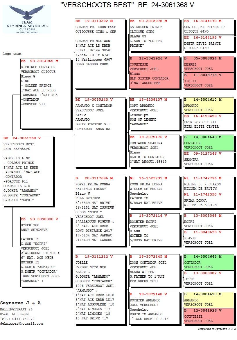 pedigree Verschoots Best