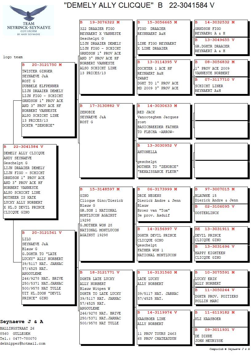 pedigree Demely Ally Clicque