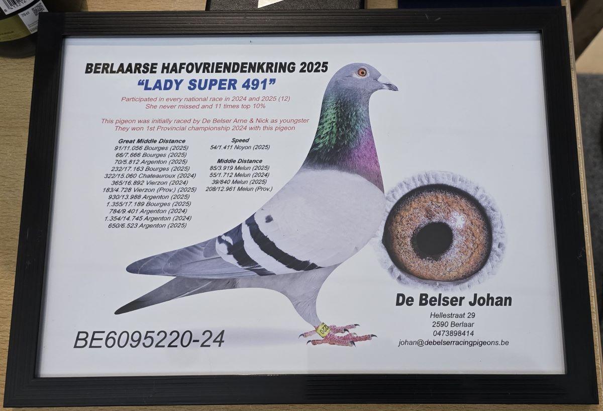 PITTS-De Belser Pigeons-PITTS-BE24-6095220 'Lady Super 491' -Foto-1