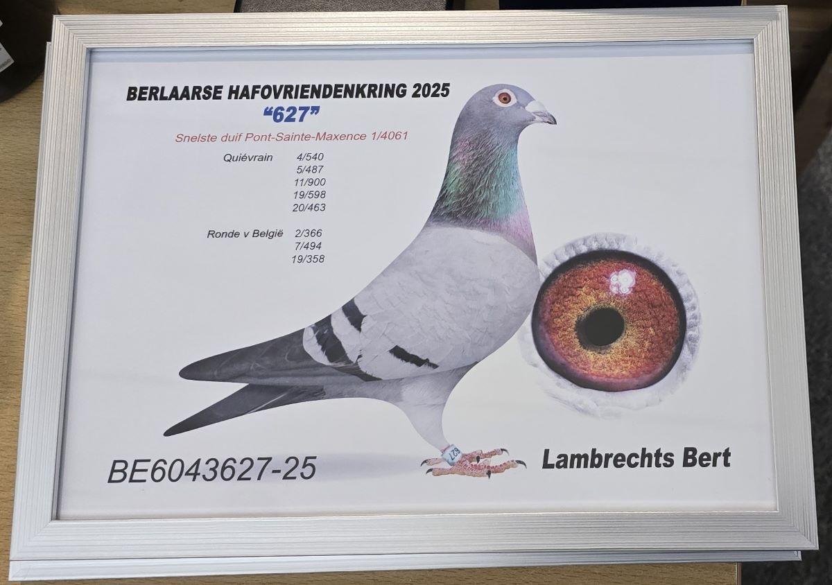 PITTS-Lambrechts Bert-PITTS-BE25-6043627 '627' -Foto-1