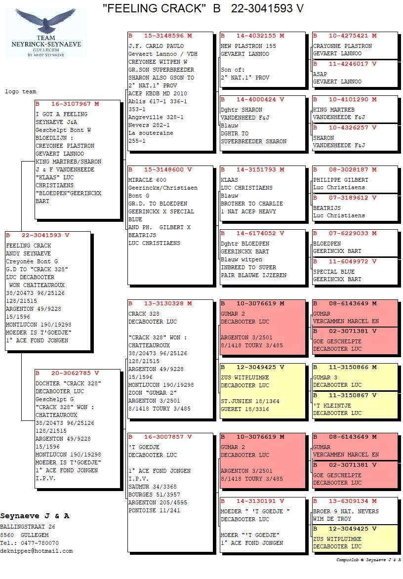pedigree Feeling Crack