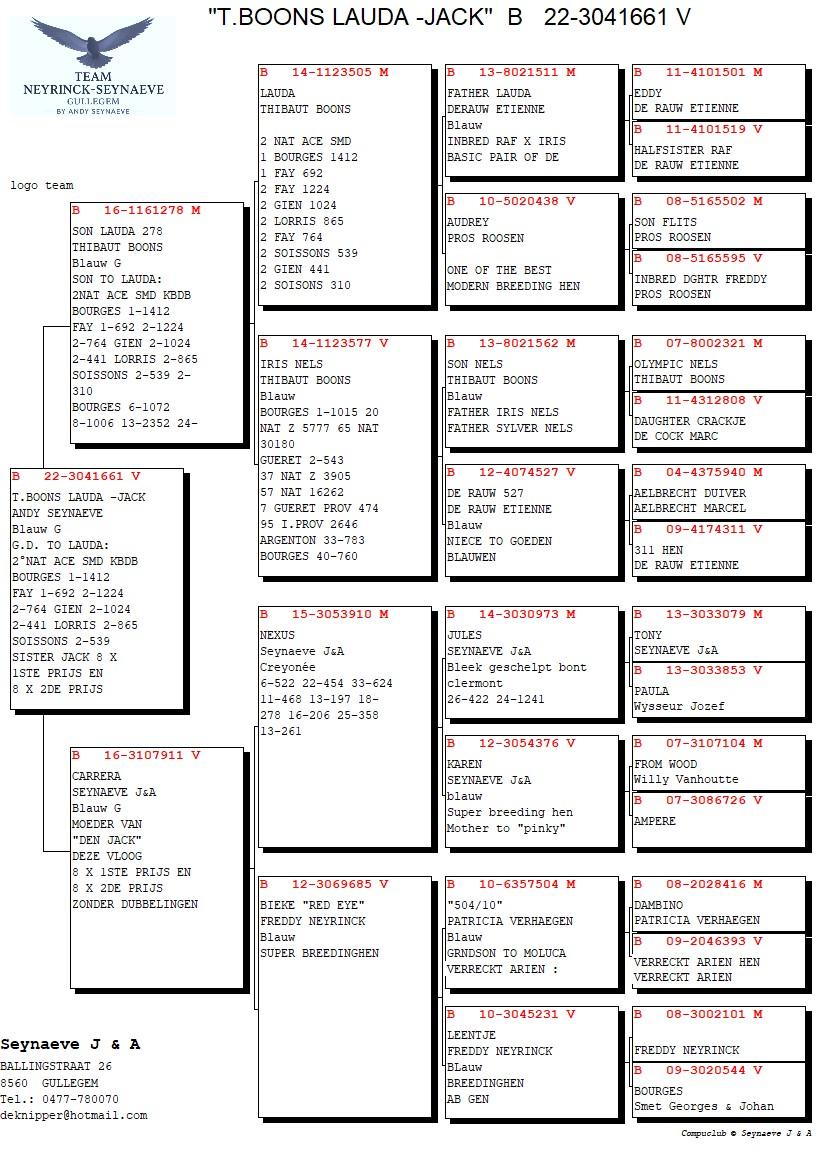 pedigree T. Boons Lauda - Jack