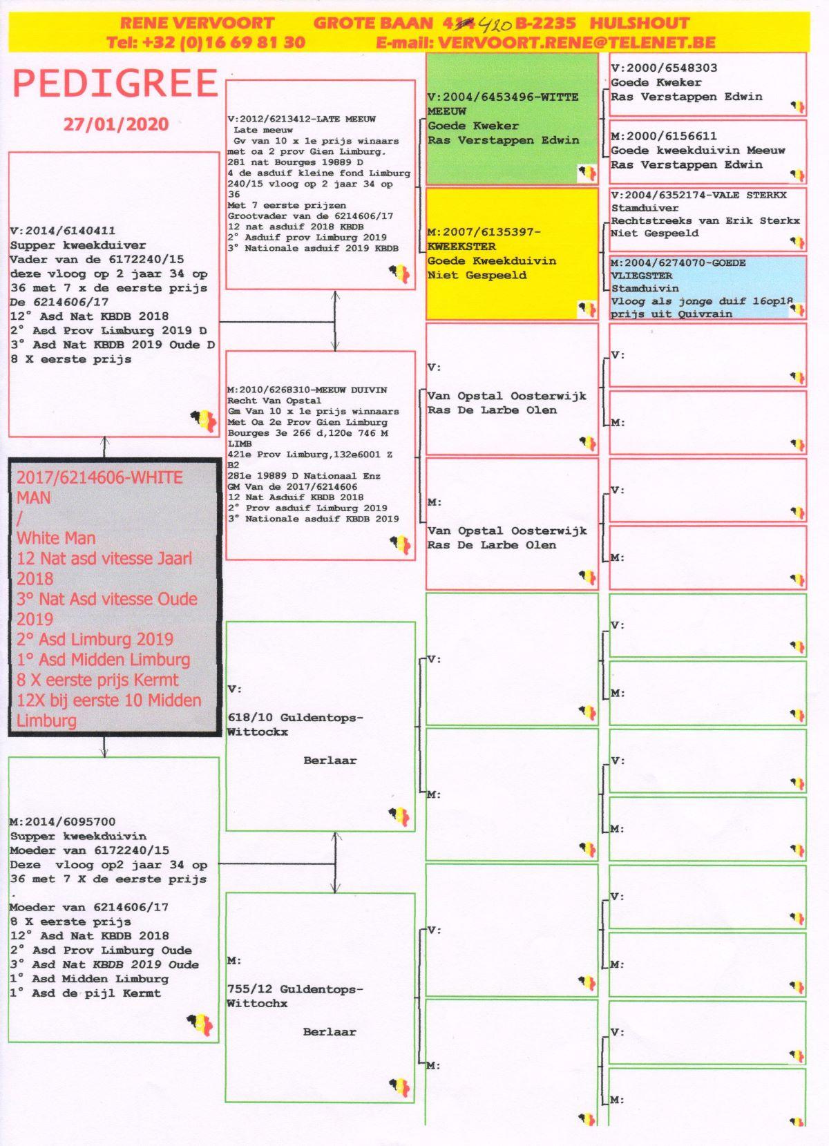PITTS-BE17-6214606-White Man -pedigree