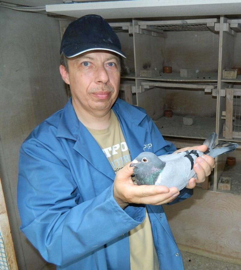 Martin Martens (Lievegem)