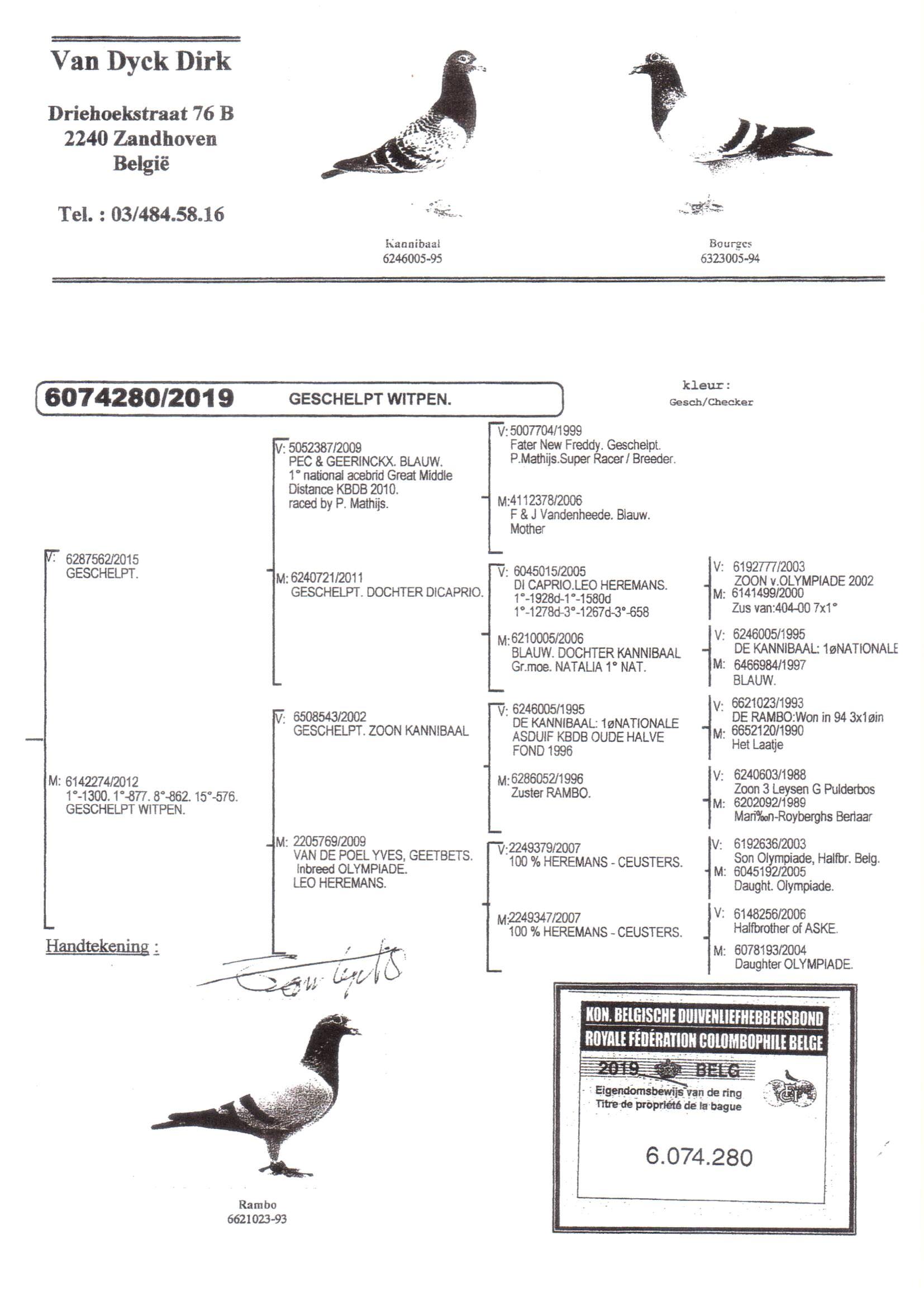 Pedigree van Den 921