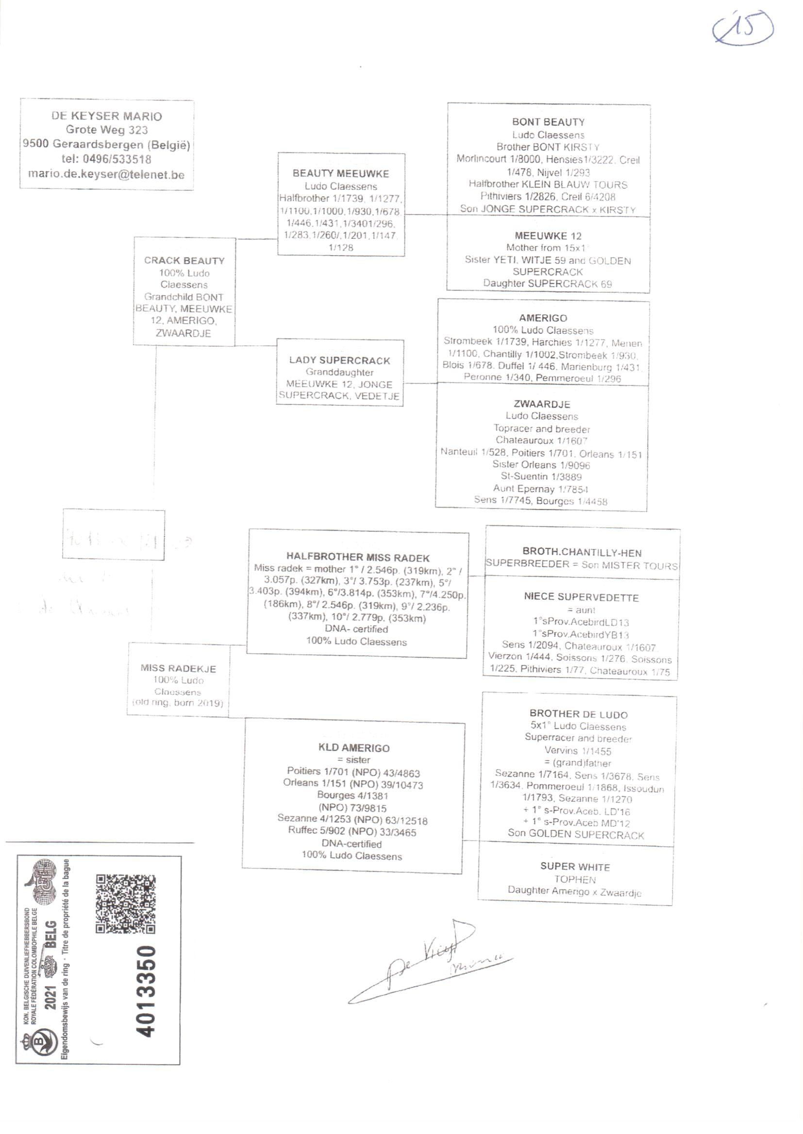 Pedigree van Den 923