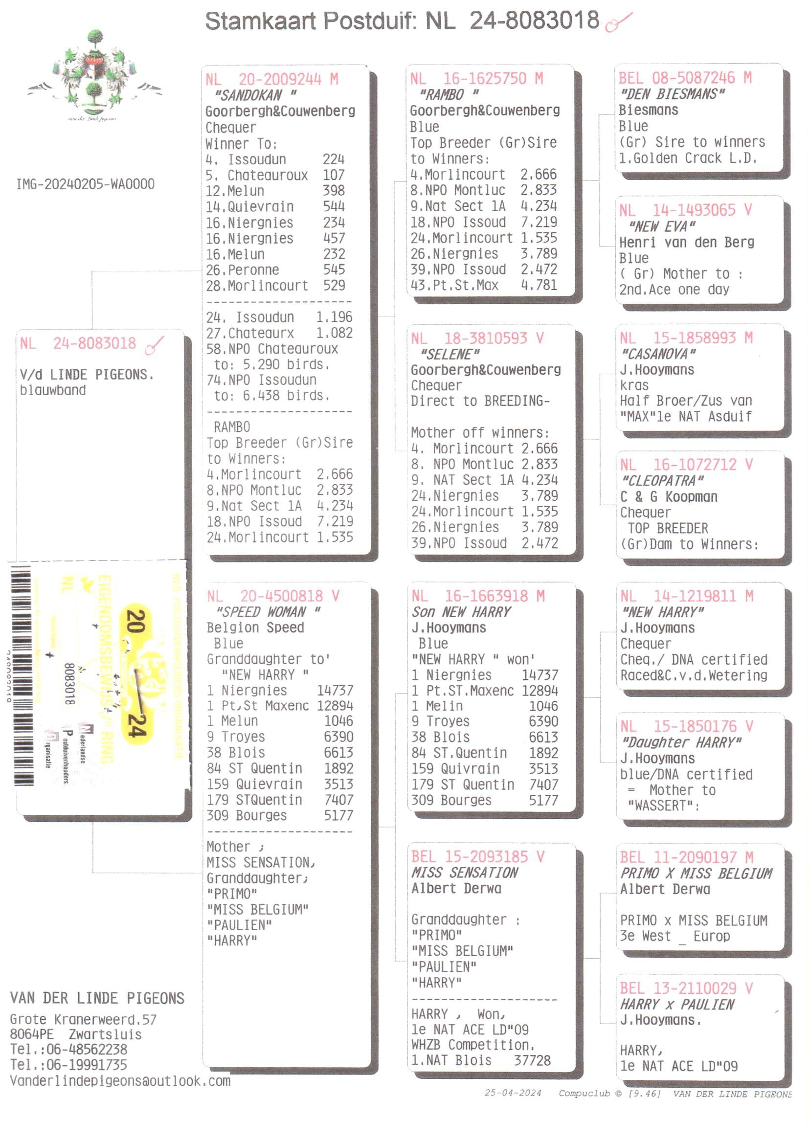 Pedigree van Den 929
