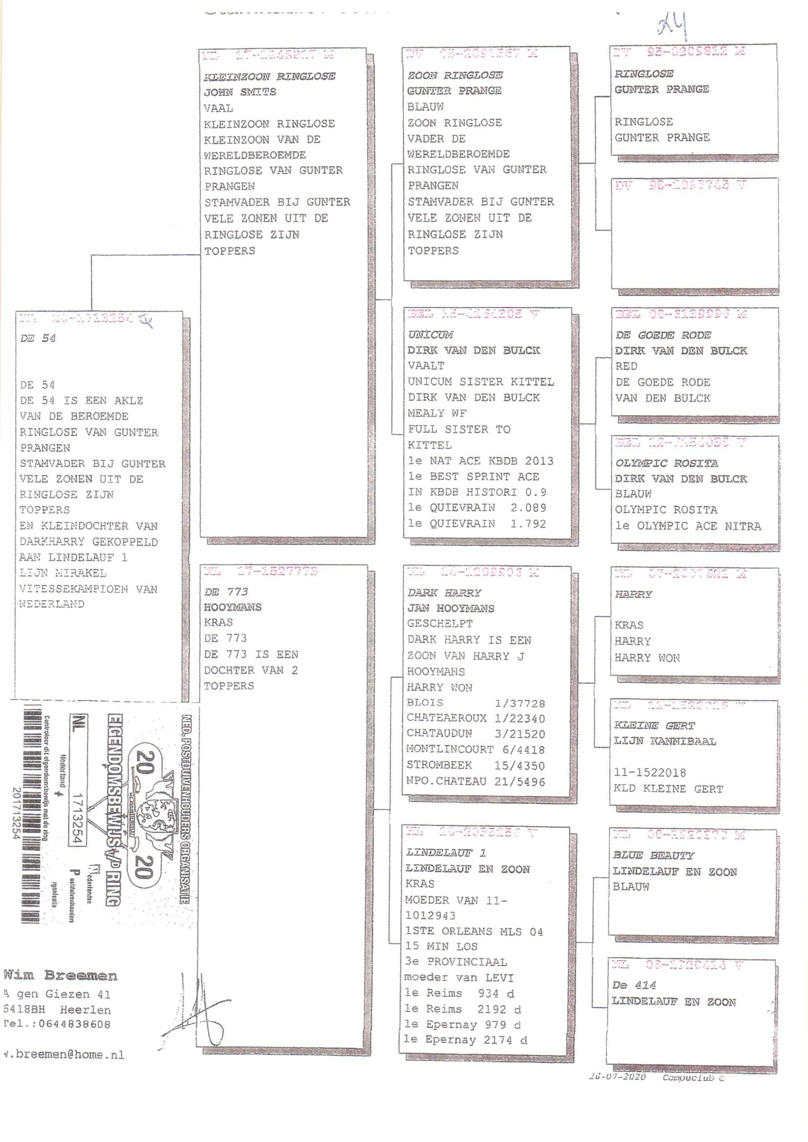 Pedigree van Den 929