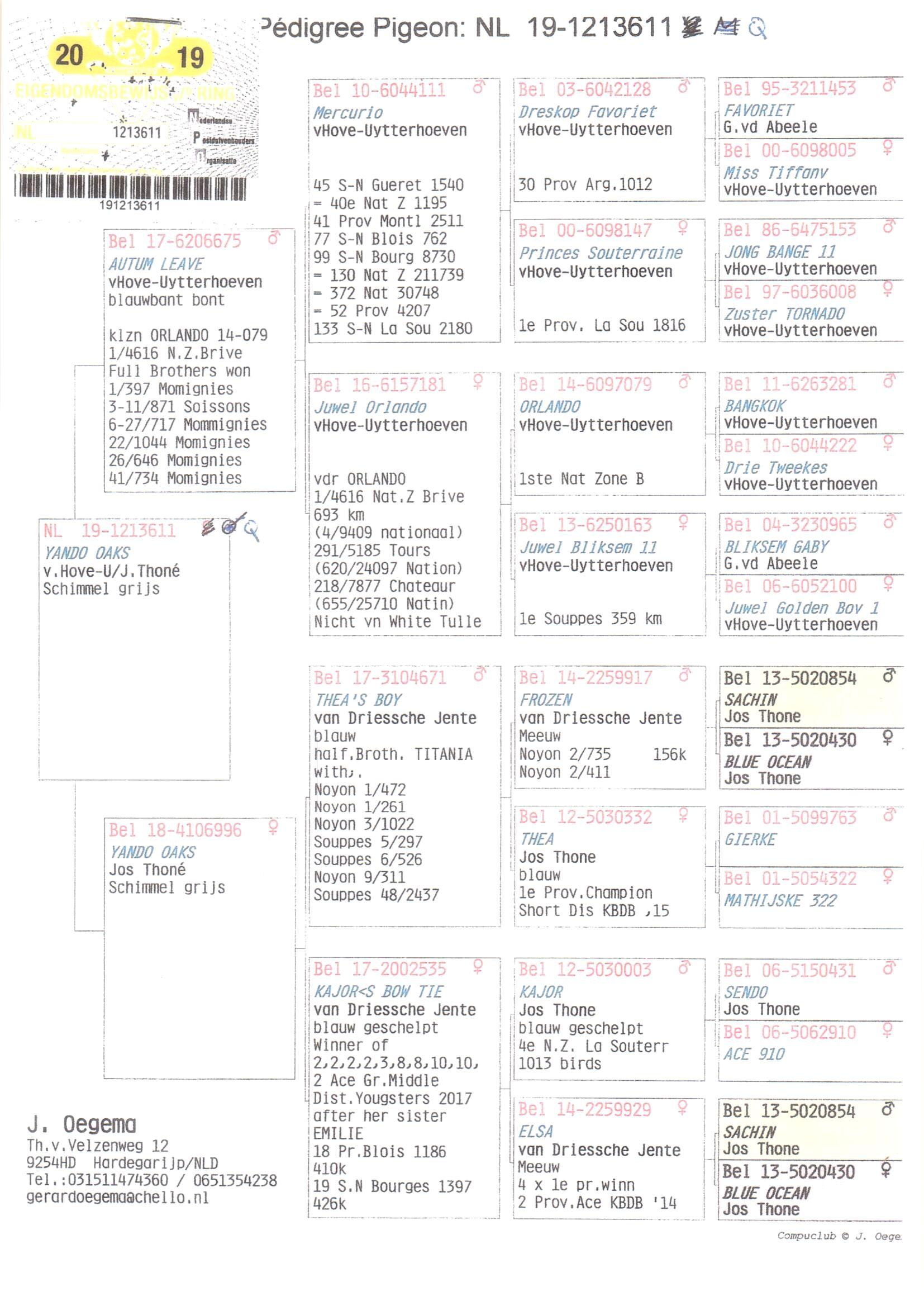 Pedigree van Den 930