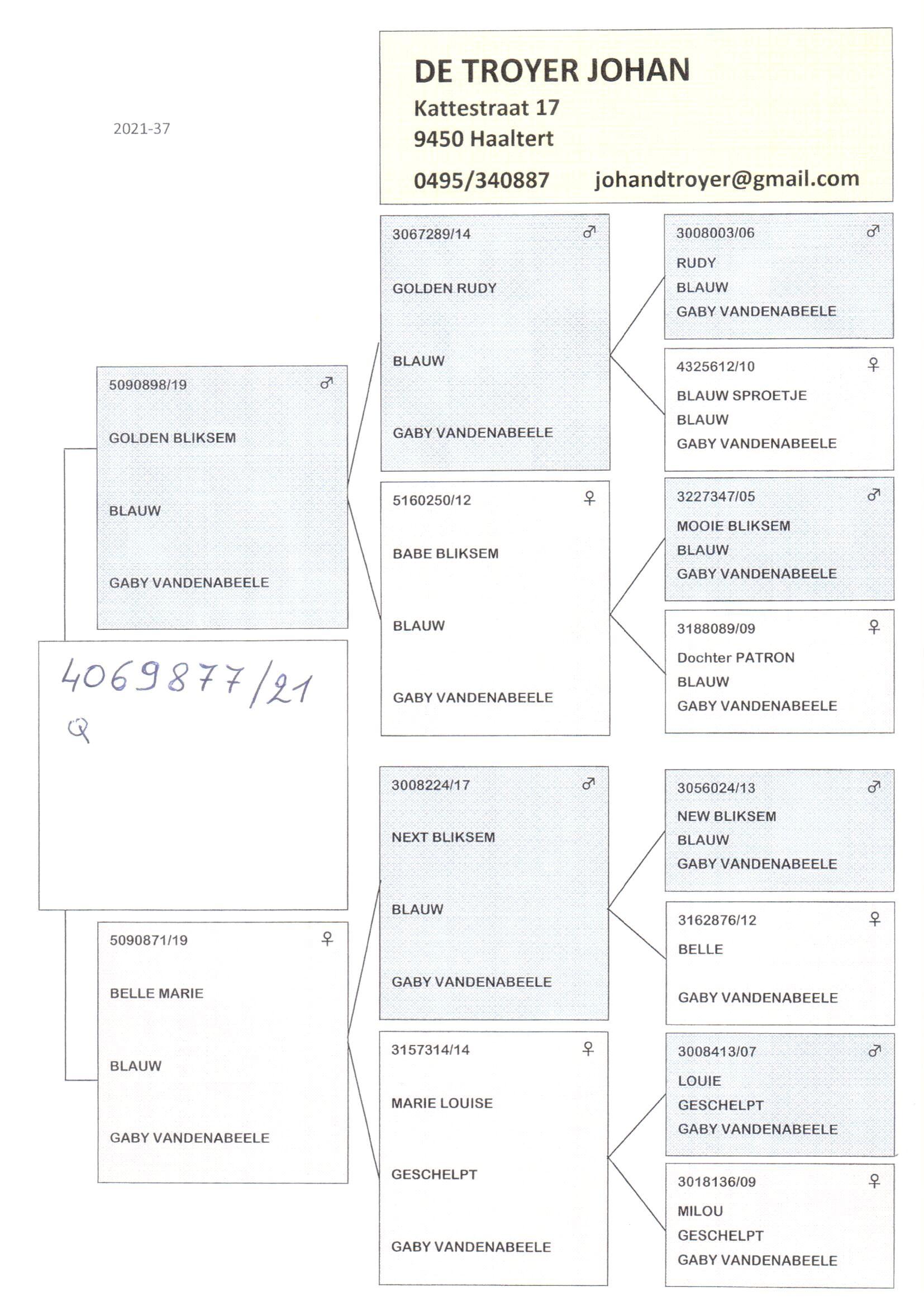 Pedigree van Den 932