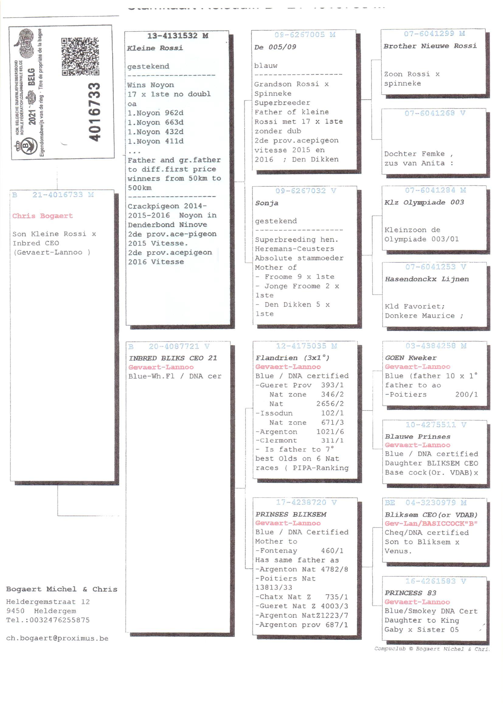 Pedigree van Den 935
