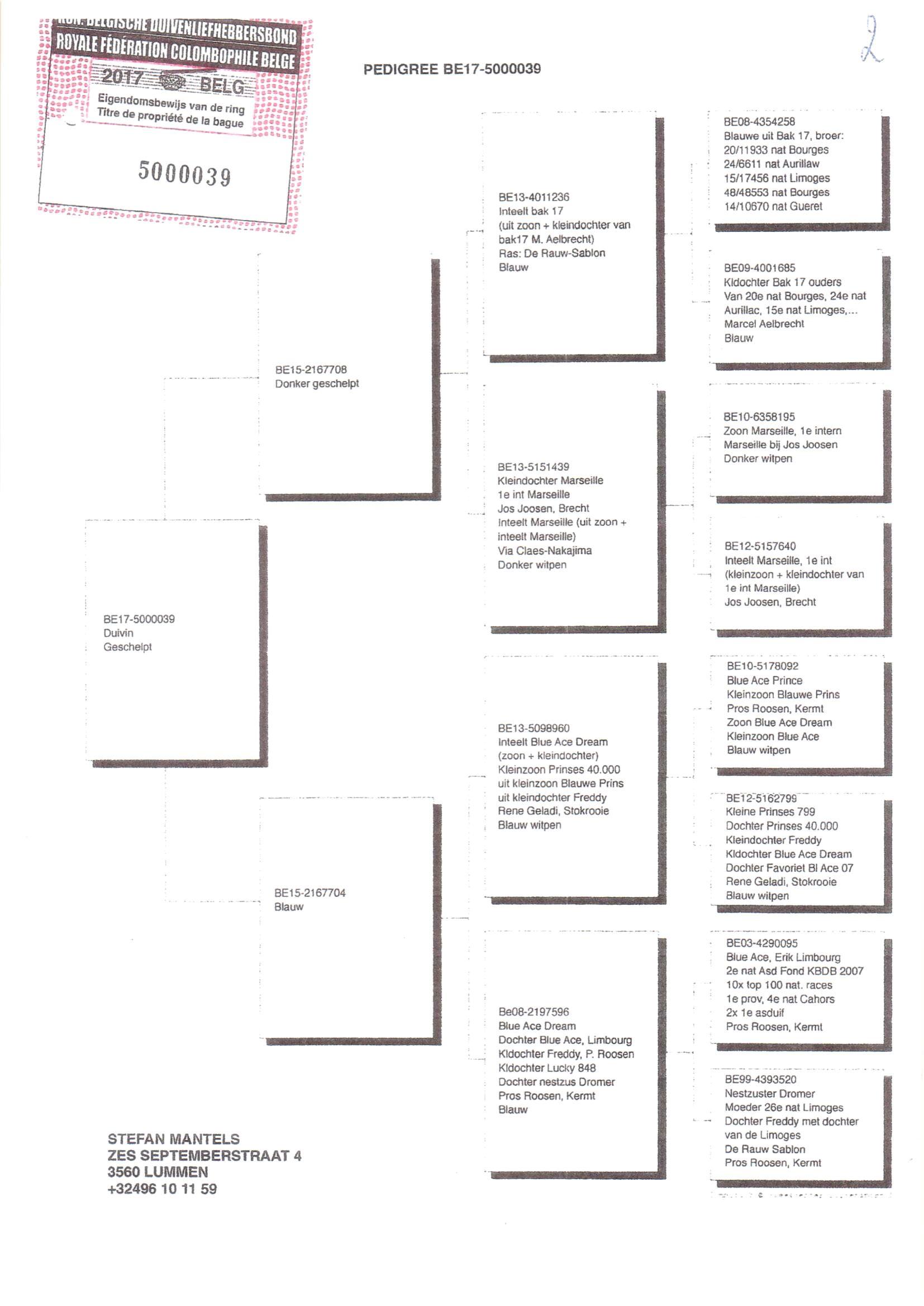 Pedigree van Den 935