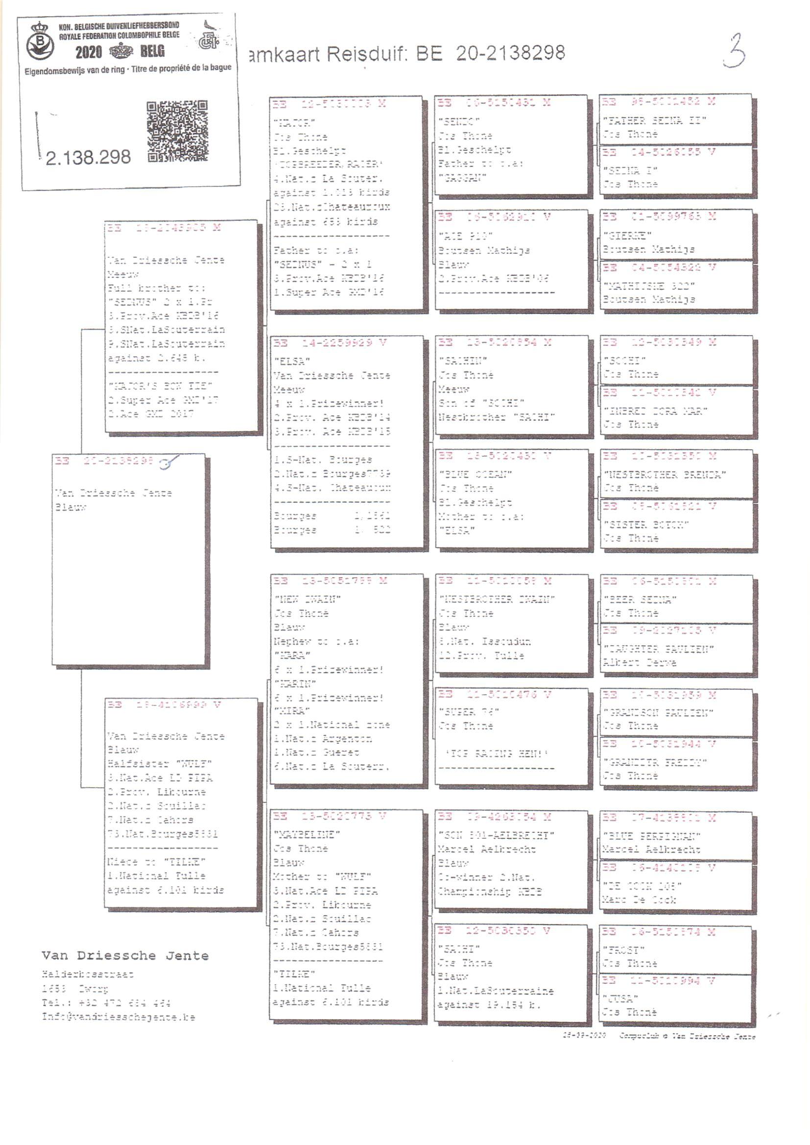 Pedigree van Den 938