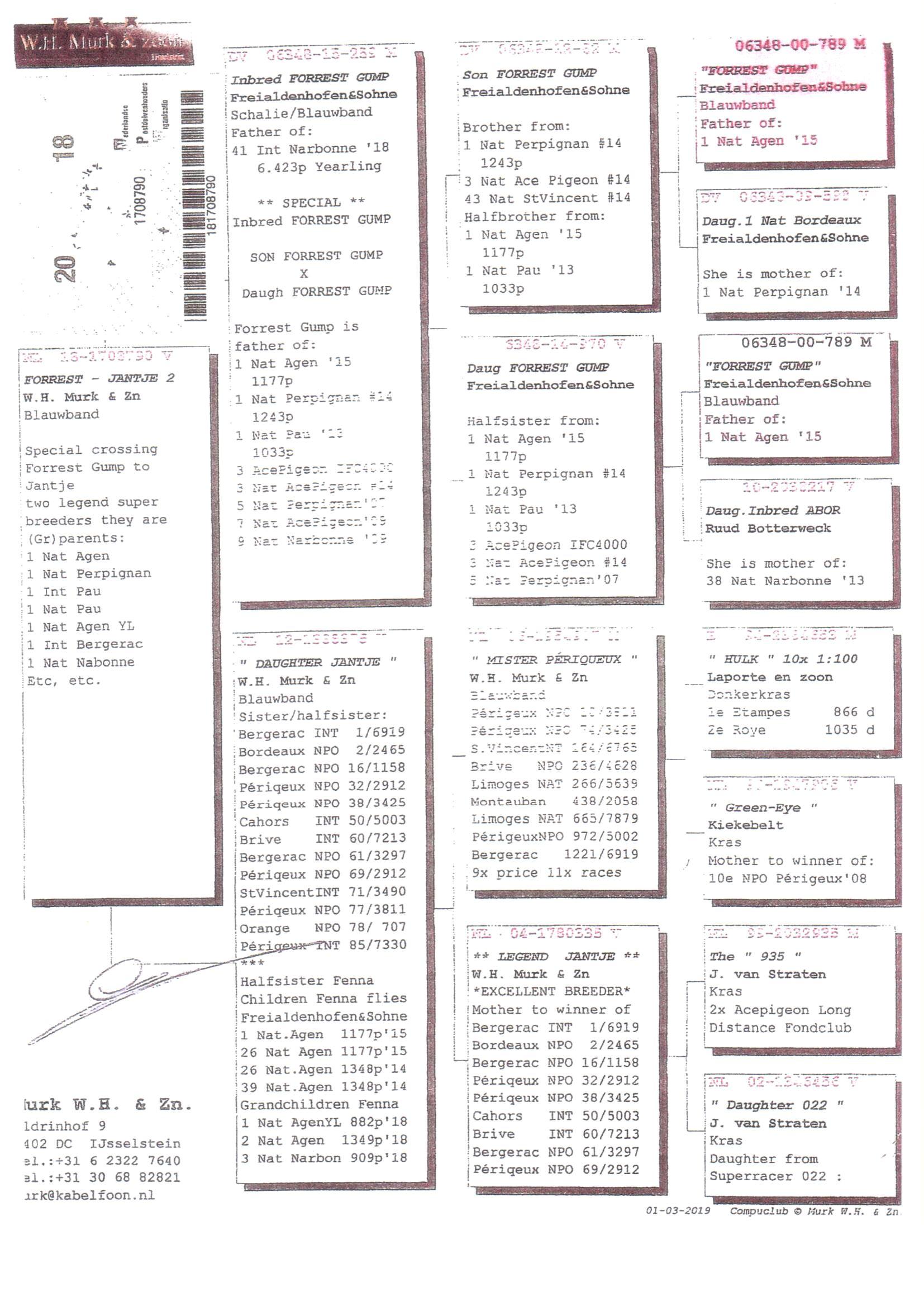 Pedigree van Den 941