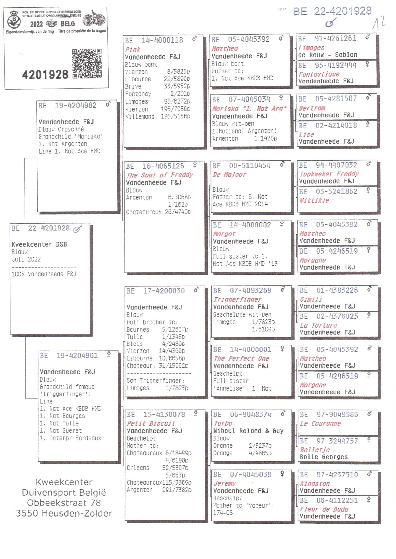 Pedigree van Den 943