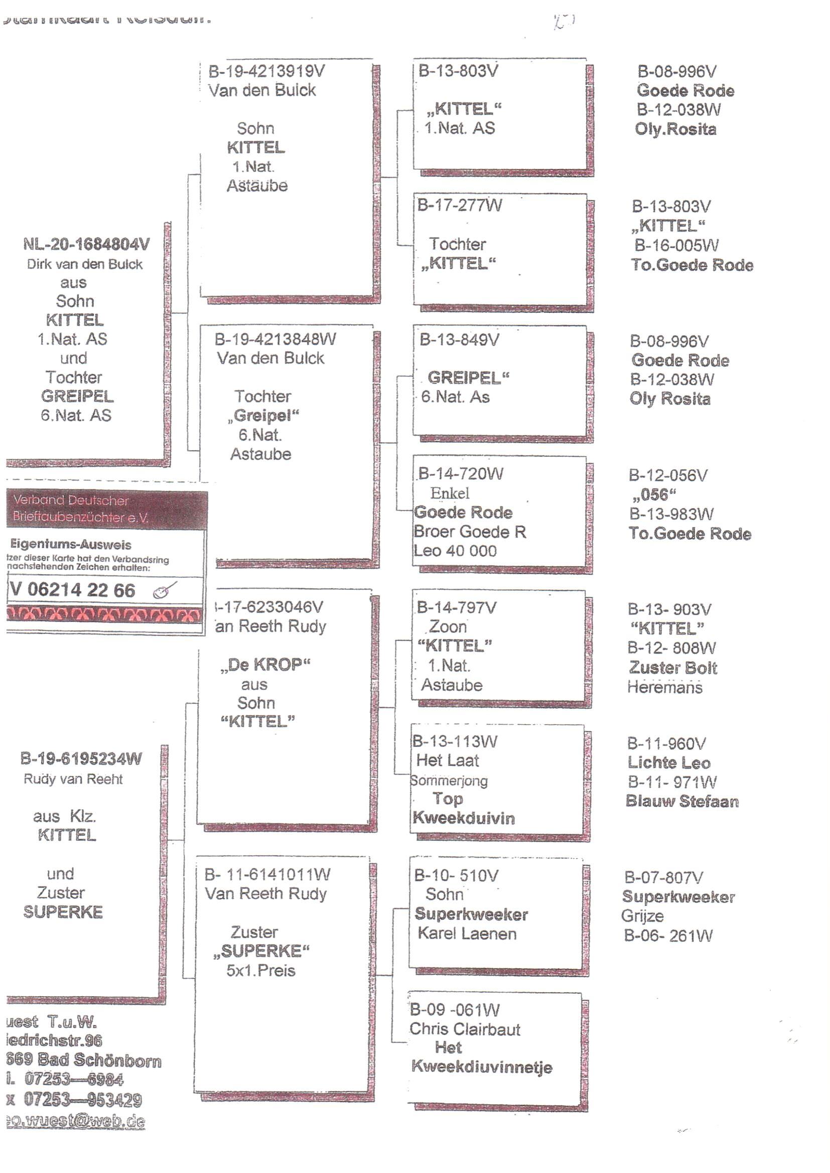 Pedigree van Den 946