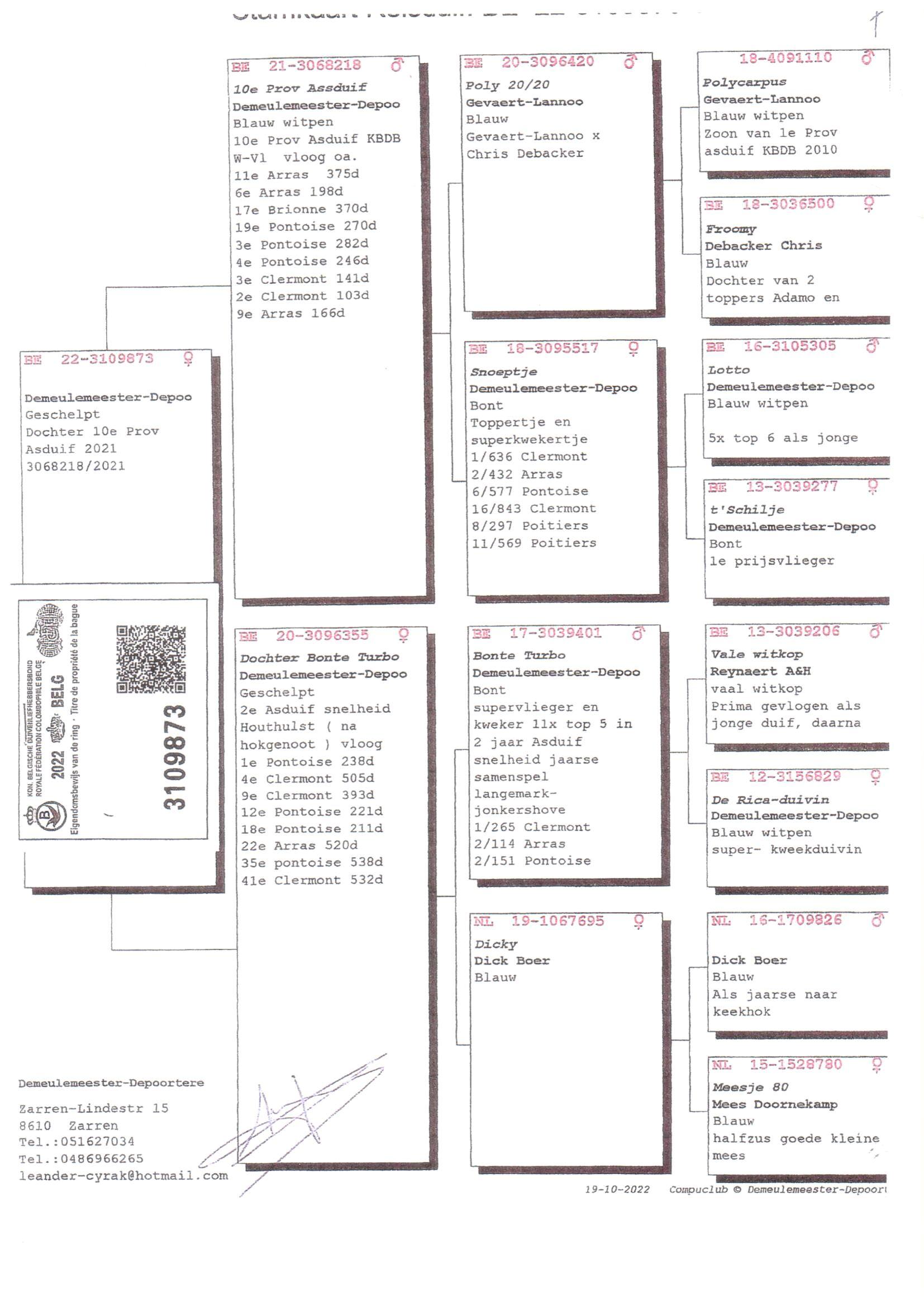 Pedigree van Den 946