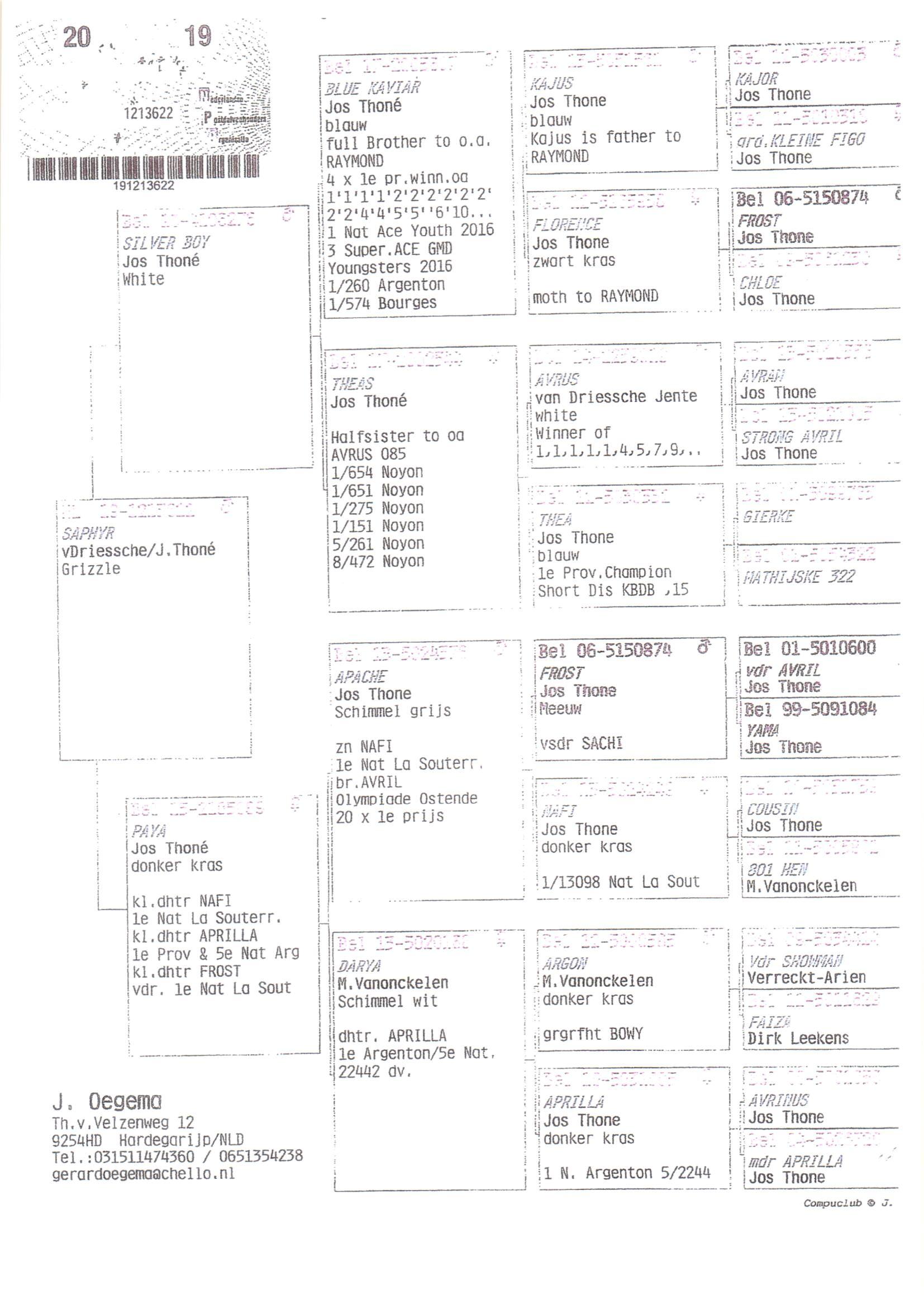 Pedigree van Den 947