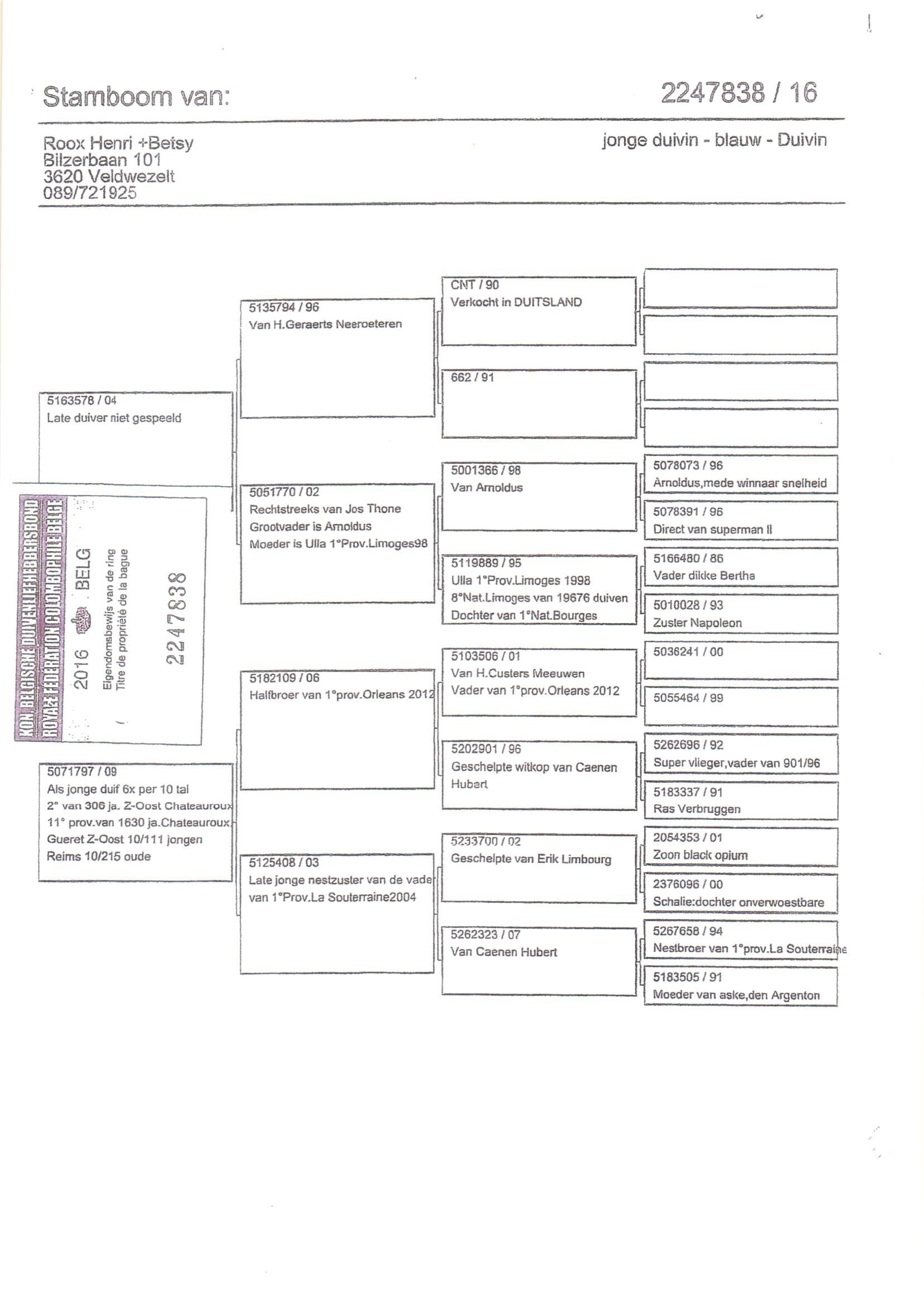 Pedigree van Den 947