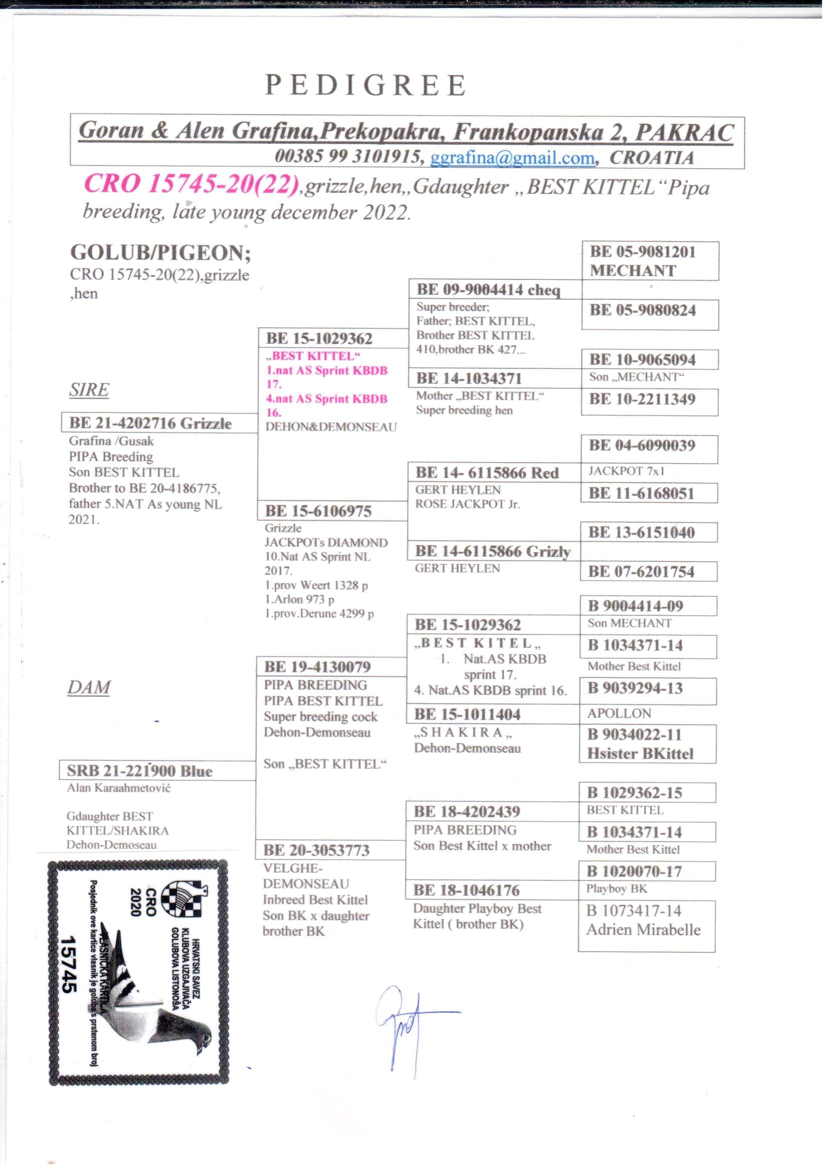 pedigree Kleindochter Best Kittel