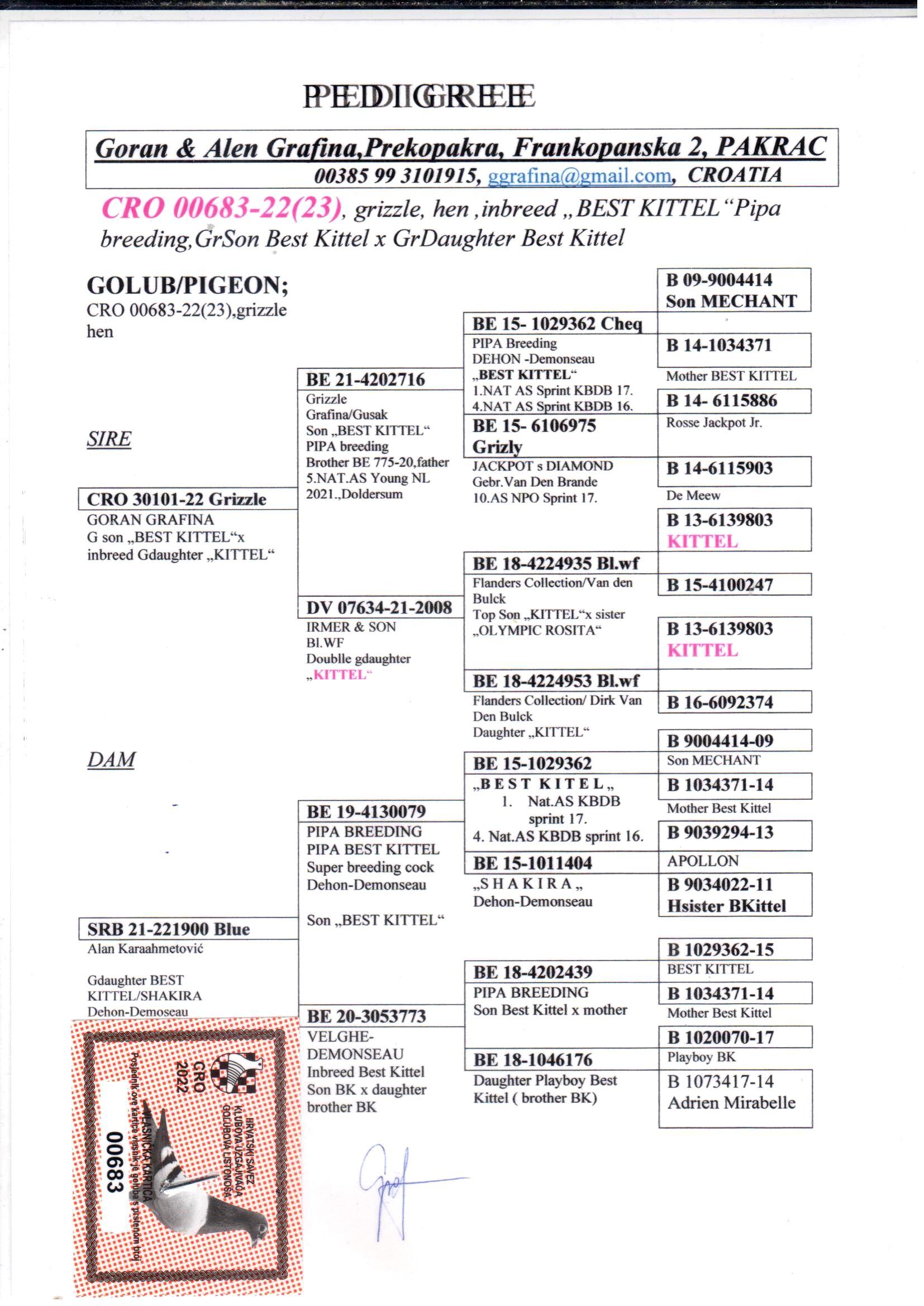 pedigree Inteelt Best Kittel