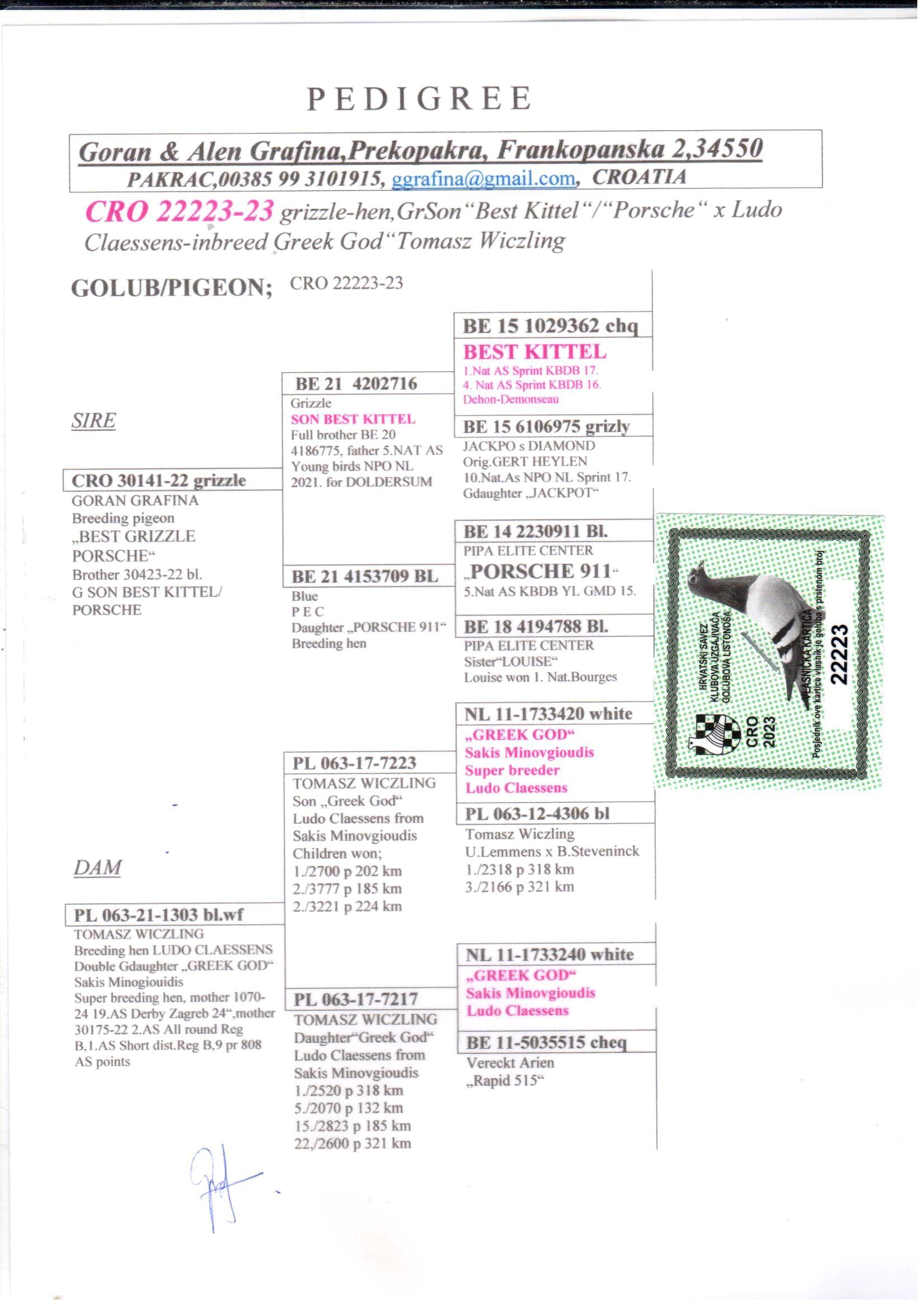 pedigree Best Grizzle Porsche x Gdaughter Greek God