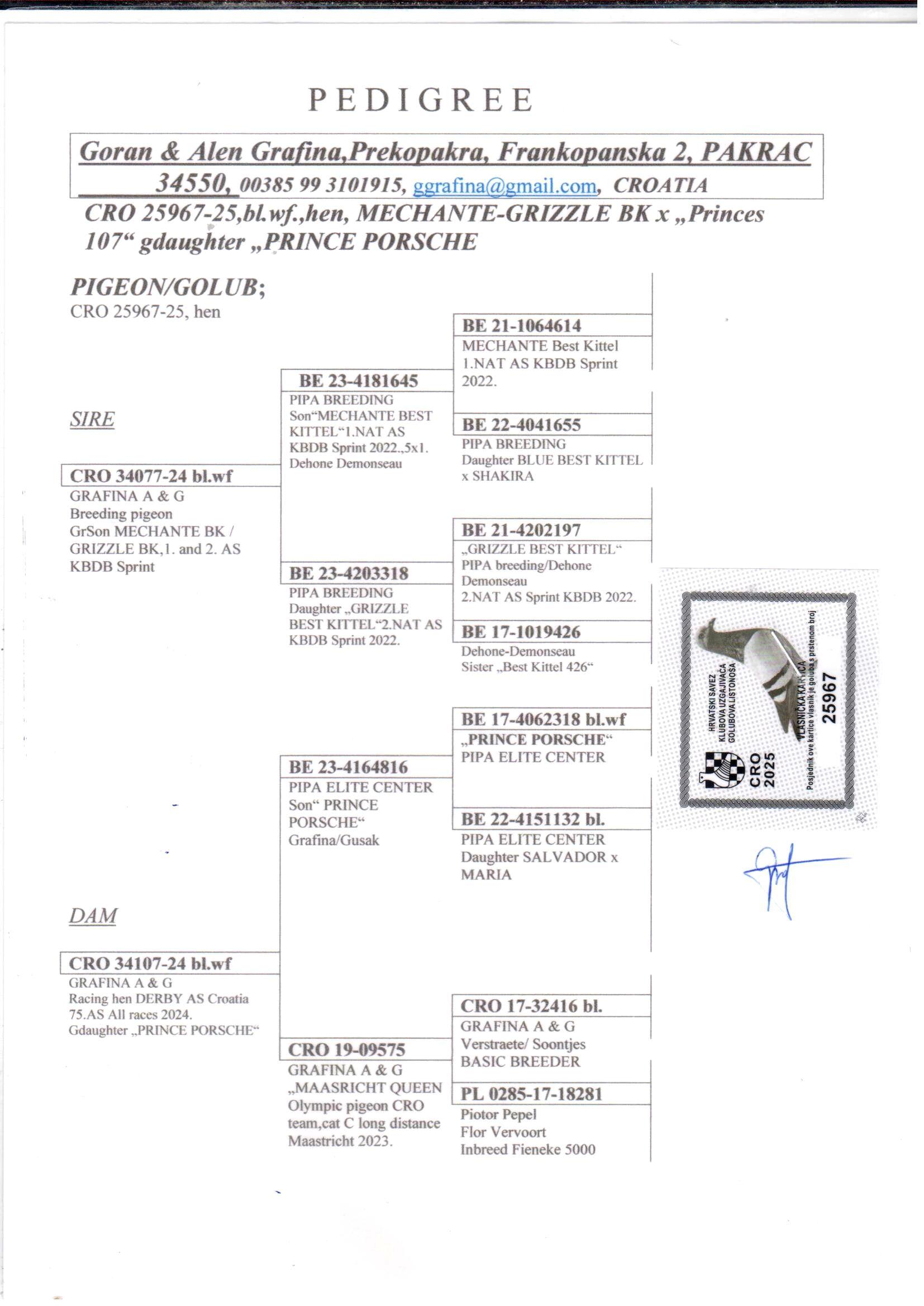 pedigree Kleindochter Maastricht Queen