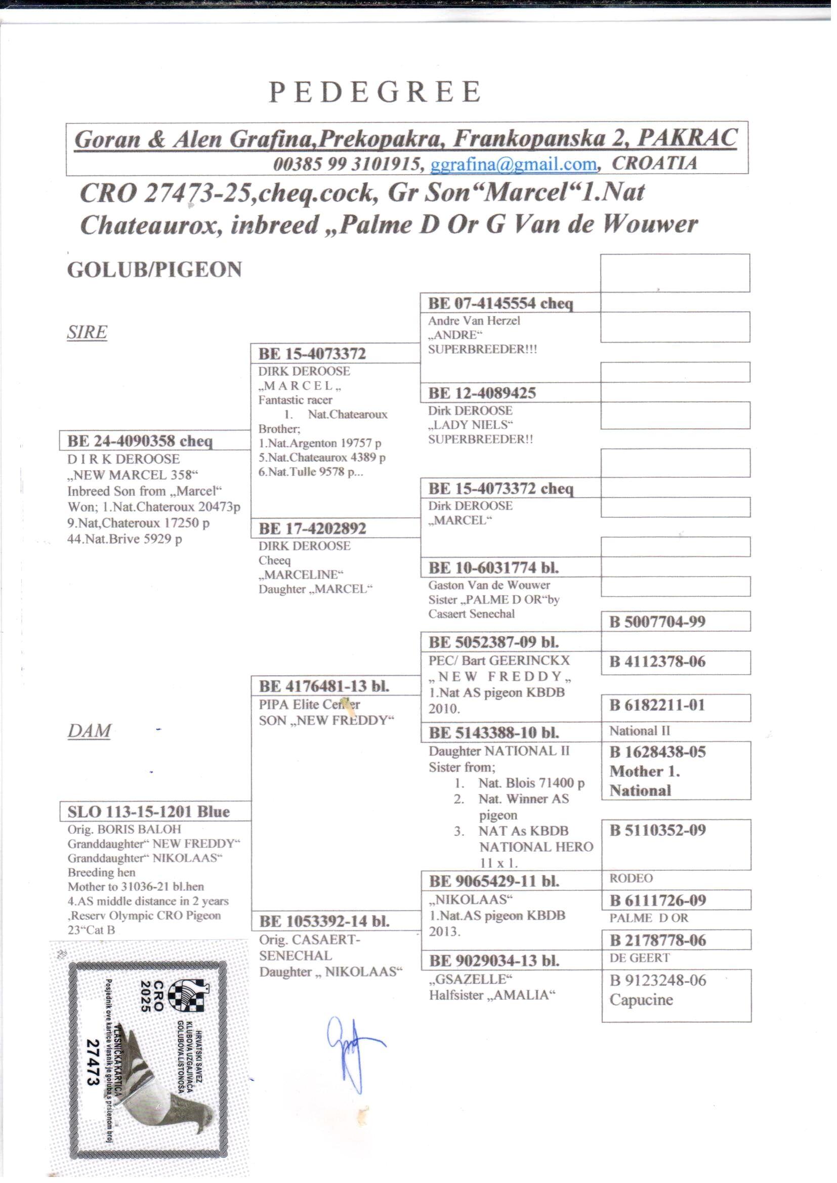 pedigree Kleinzoon “Marcel” 1. Nat Chateauroux (Deroose Dirk)