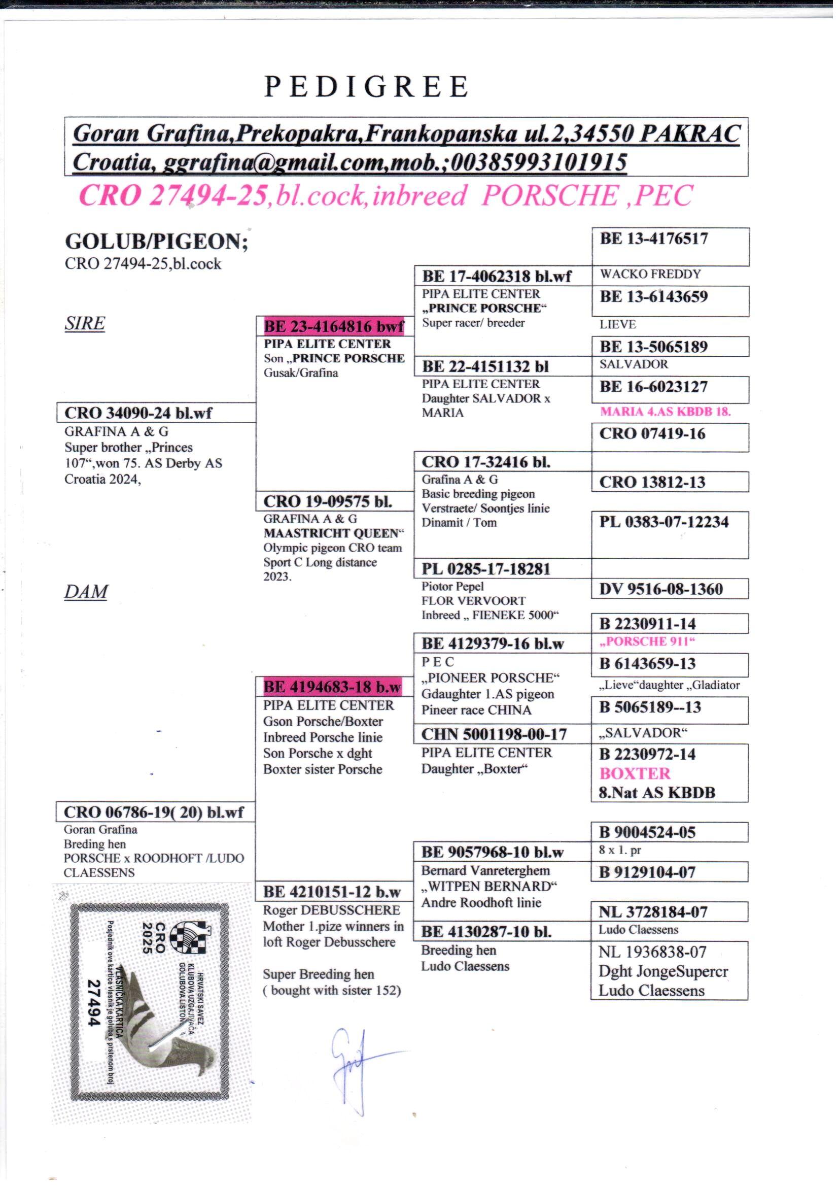 pedigree Inteelt “Porsche 911” 