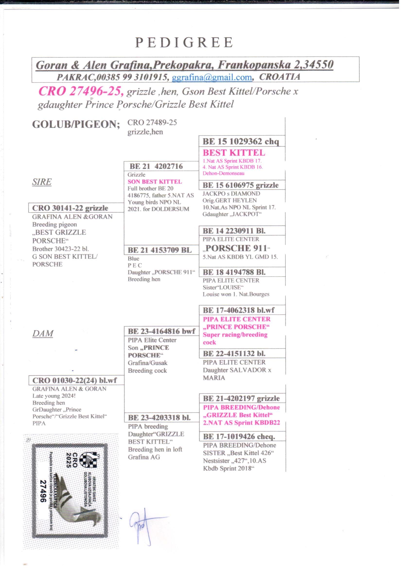 pedigree Lijn “Best Kittel” x “Porsche 911”