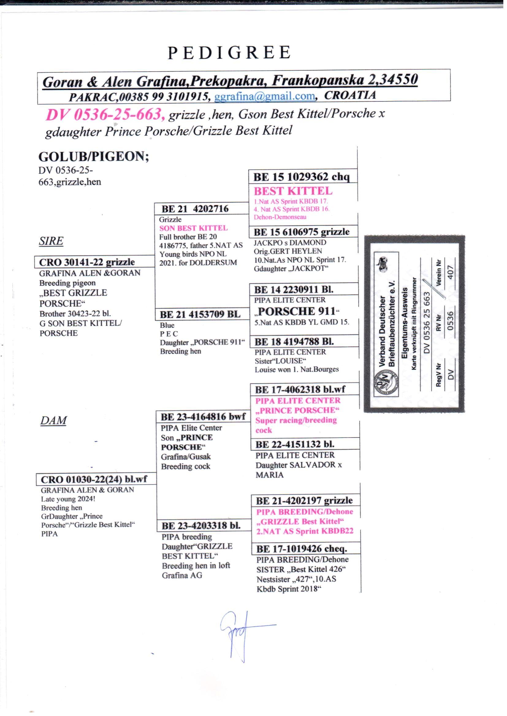 pedigree Lijn “Best Kittel” x “Porsche 911”