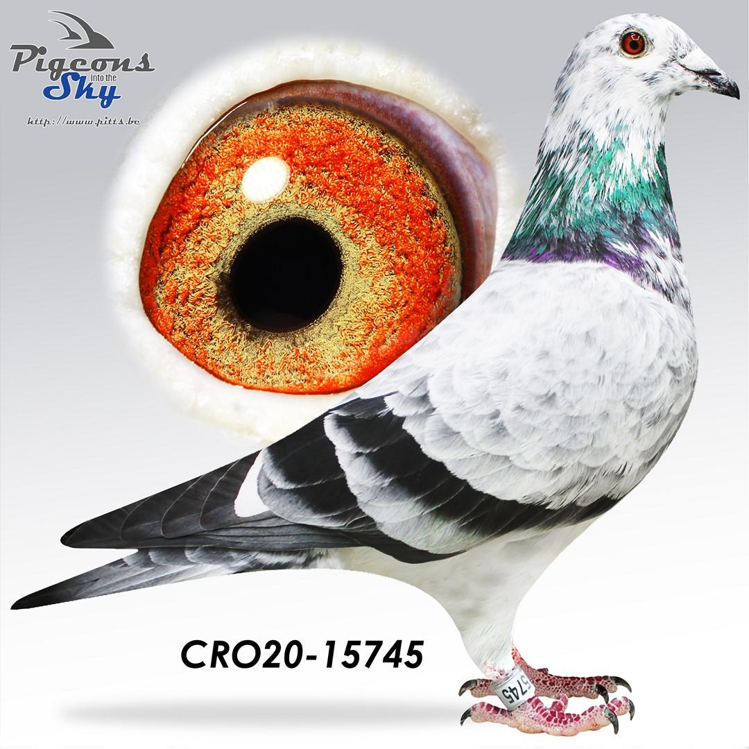 Kleindochter Best Kittel