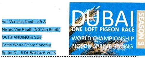 OLR DUBAI VWinckel & VReeth-mini