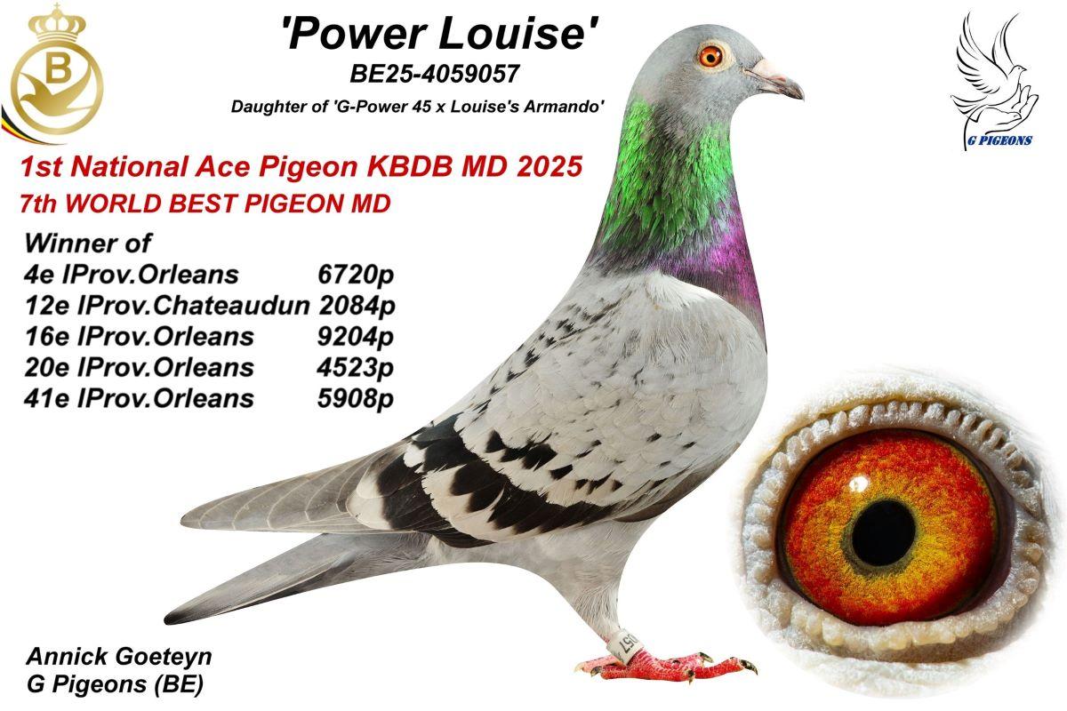 PITTS-Goeteyn Annick-PITTS-BE25-4059057 'Power Louise' -Foto1