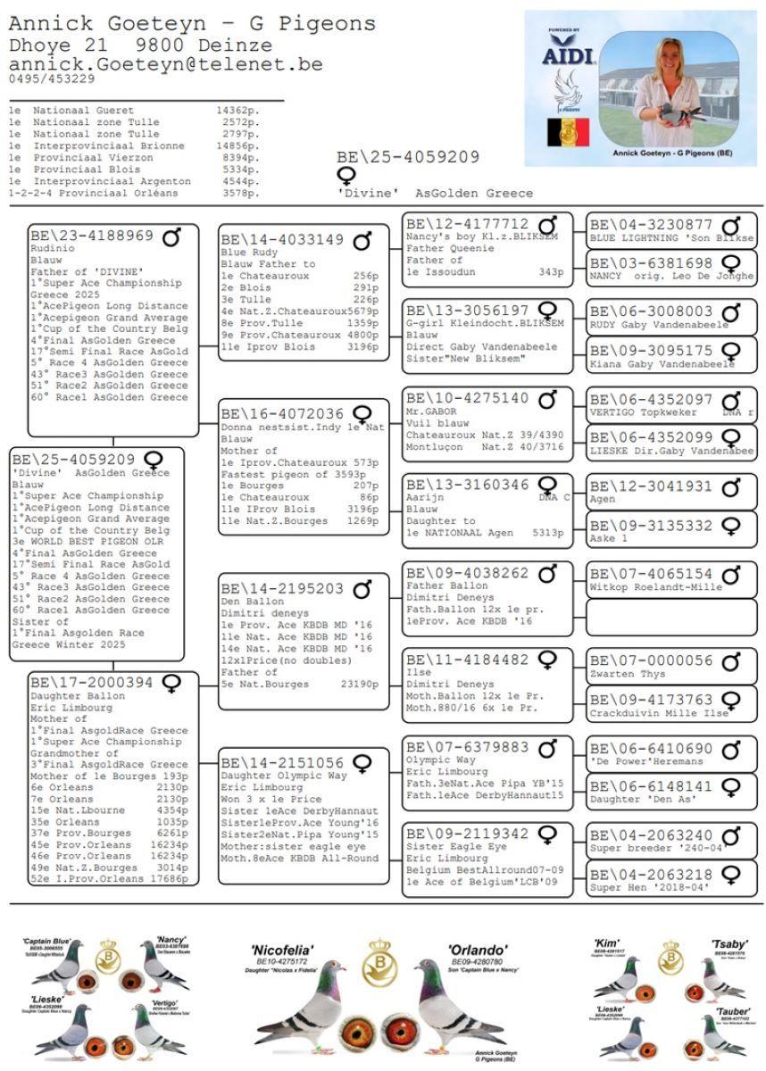 PITTS-Goeteyn Annick-PITTS-BE25-4059209 'Divine' -Pedigree