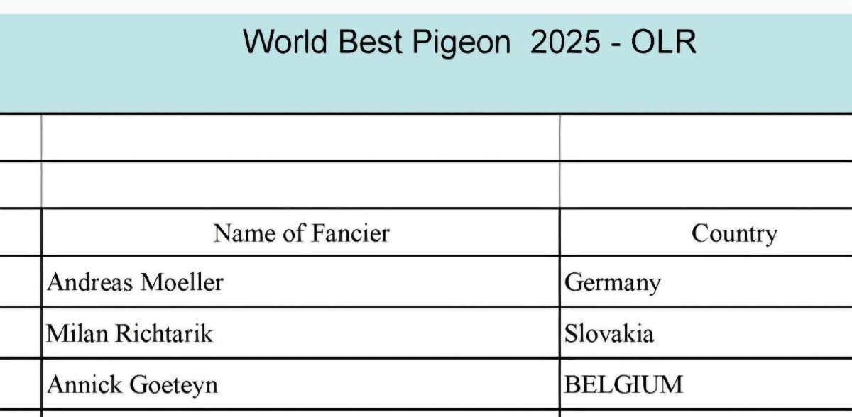 2025-World Best Pigeon FCI OLR