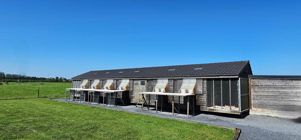 PITTS-2024-PITTS-Goeteyn Annick-Hokken-1