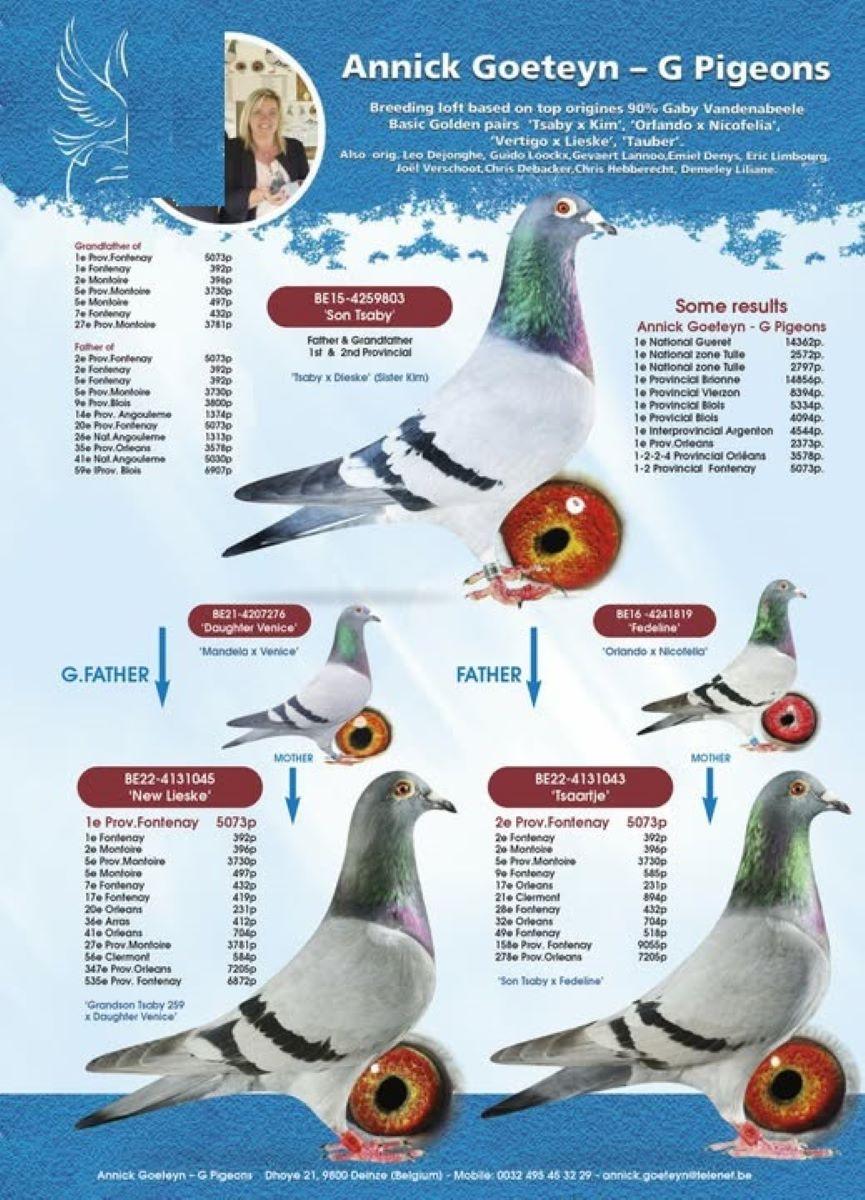 2023 HERBOTS RACING TO Annick Goeteyn -G Pigeons