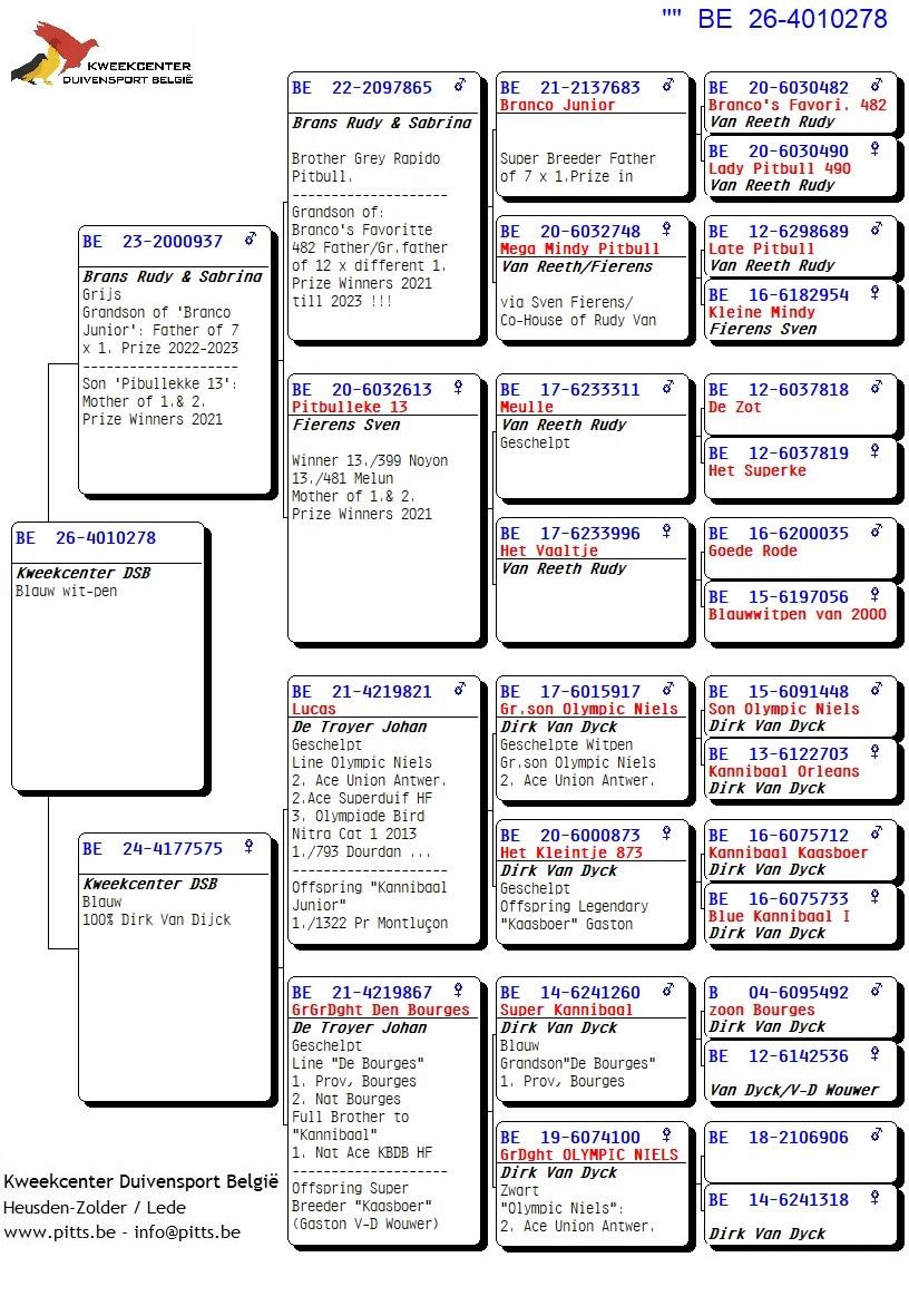 pedigree 278 - Brans/Van Reeth x Van Dijck