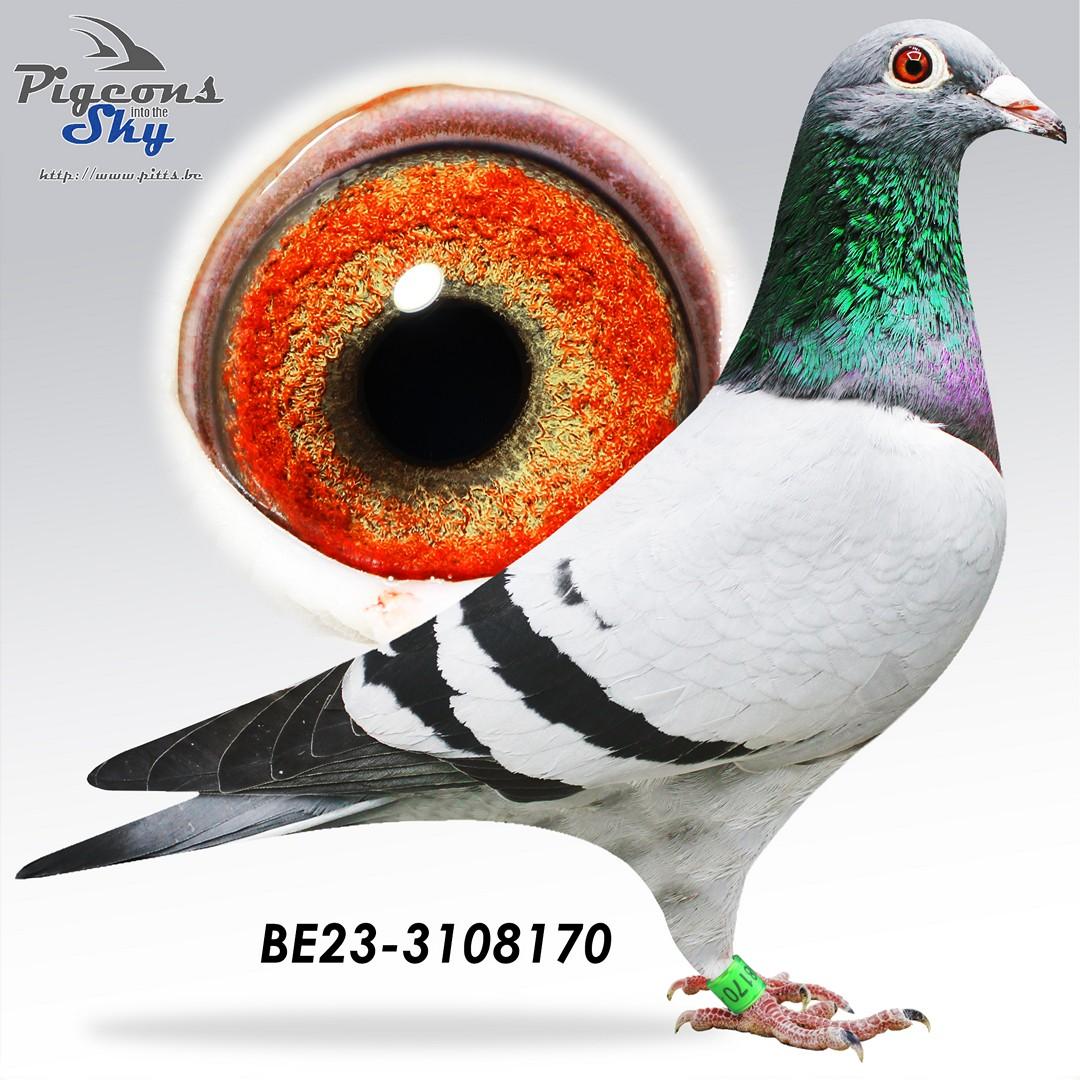 Rudy – Devil Prince