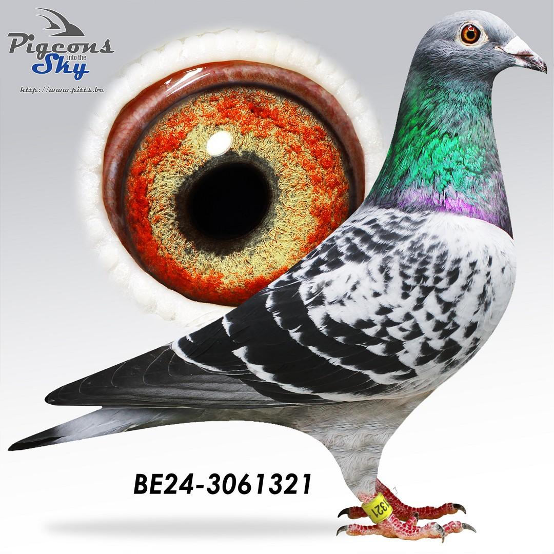 Rudy x Sister 5e Nationaal Brive