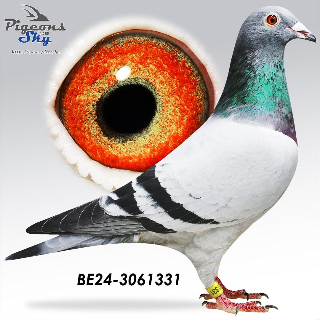 Sero Sero Nopri Devil