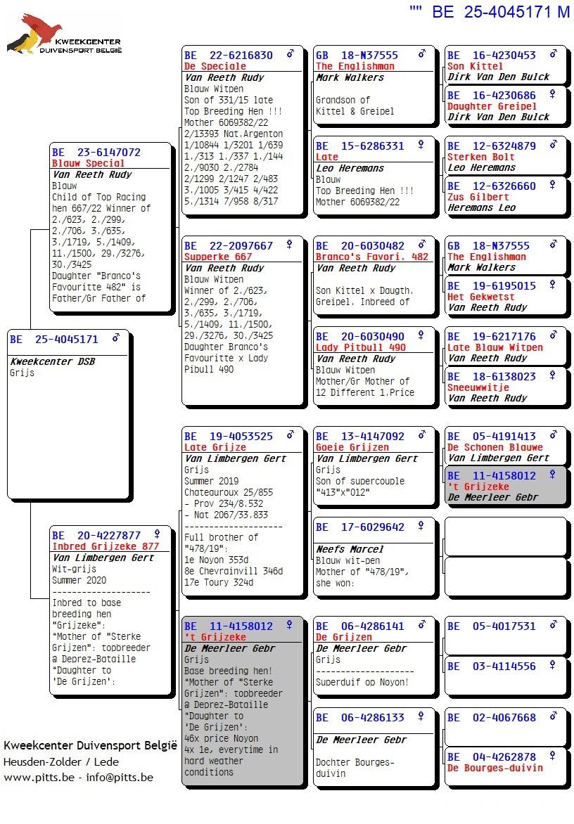 pedigree Van Reeth X Van Limbergen