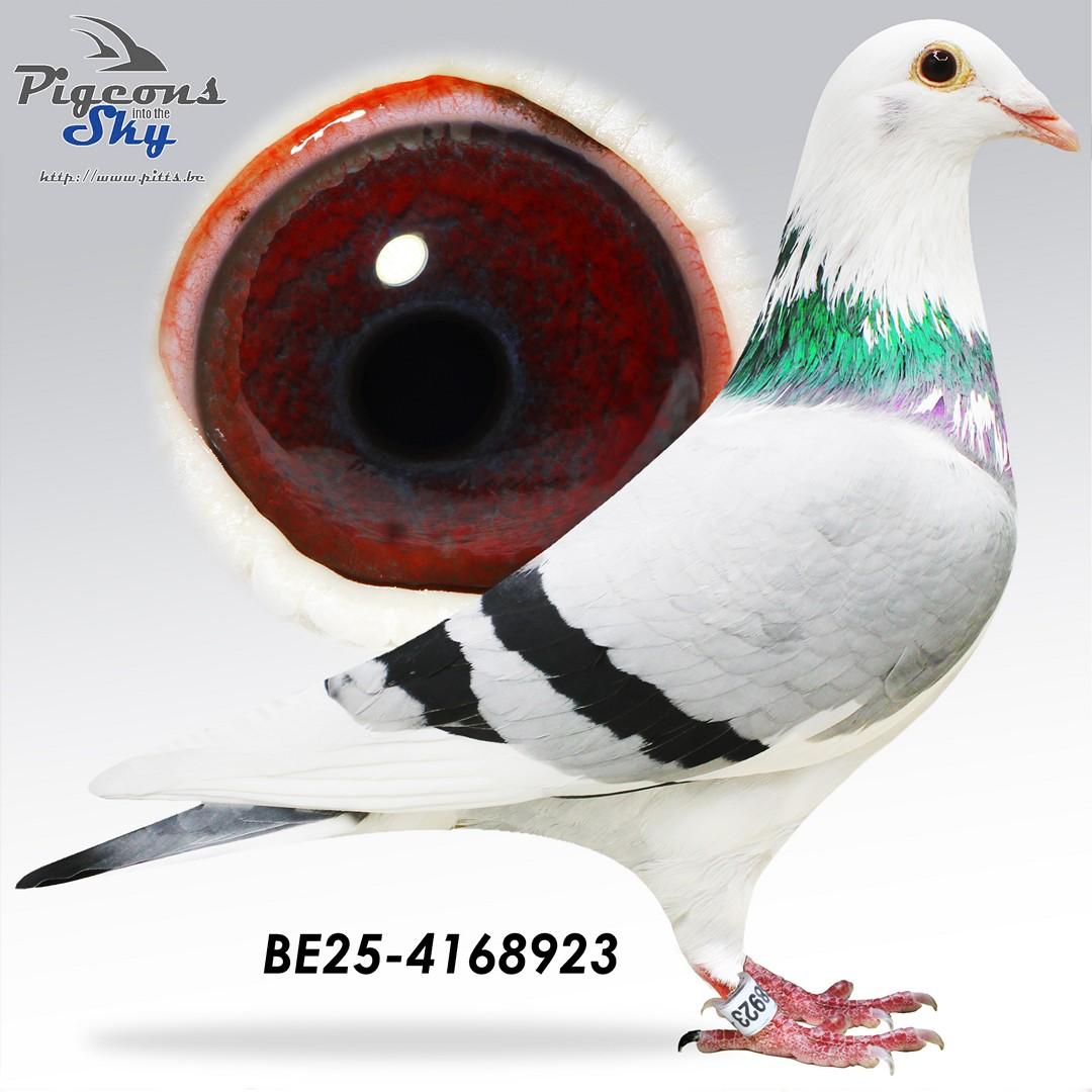 100% Vrancken-Berden